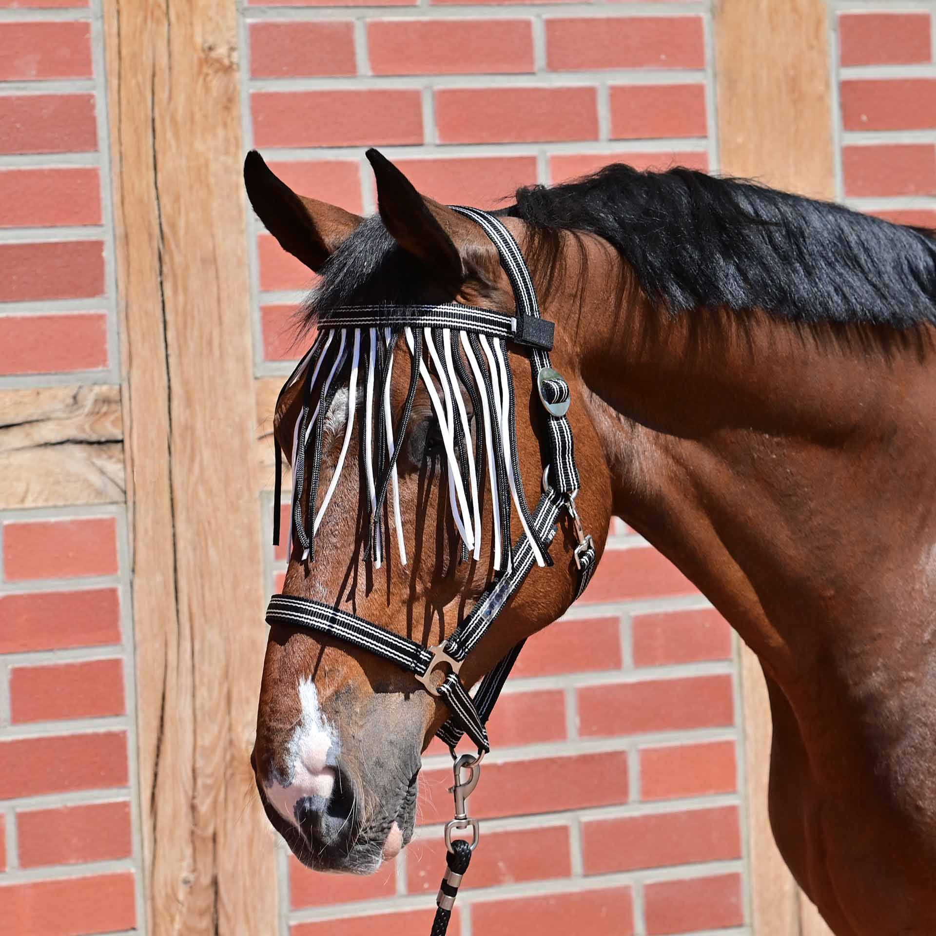 BUSSE Frontalino antimosche VISBY II, protezione insetti cavallo, in uso