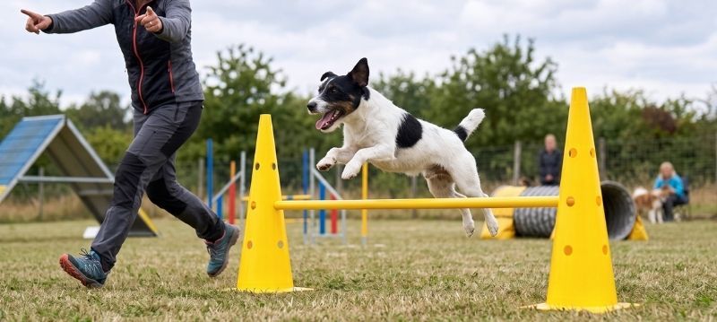 Agility