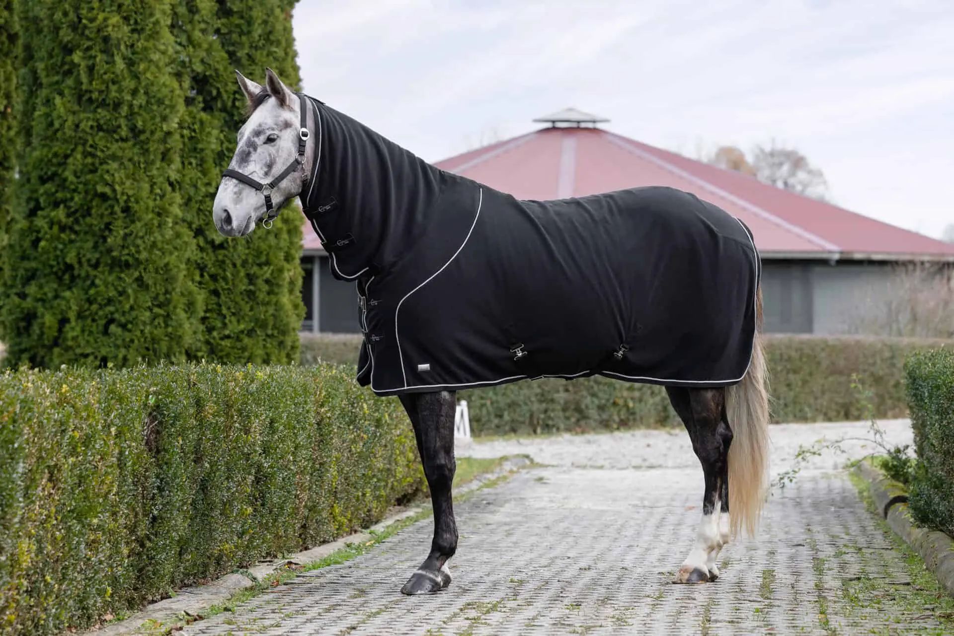 Covalliero CovallieroTherm Fleece Rug with Neck Cover Black, in use