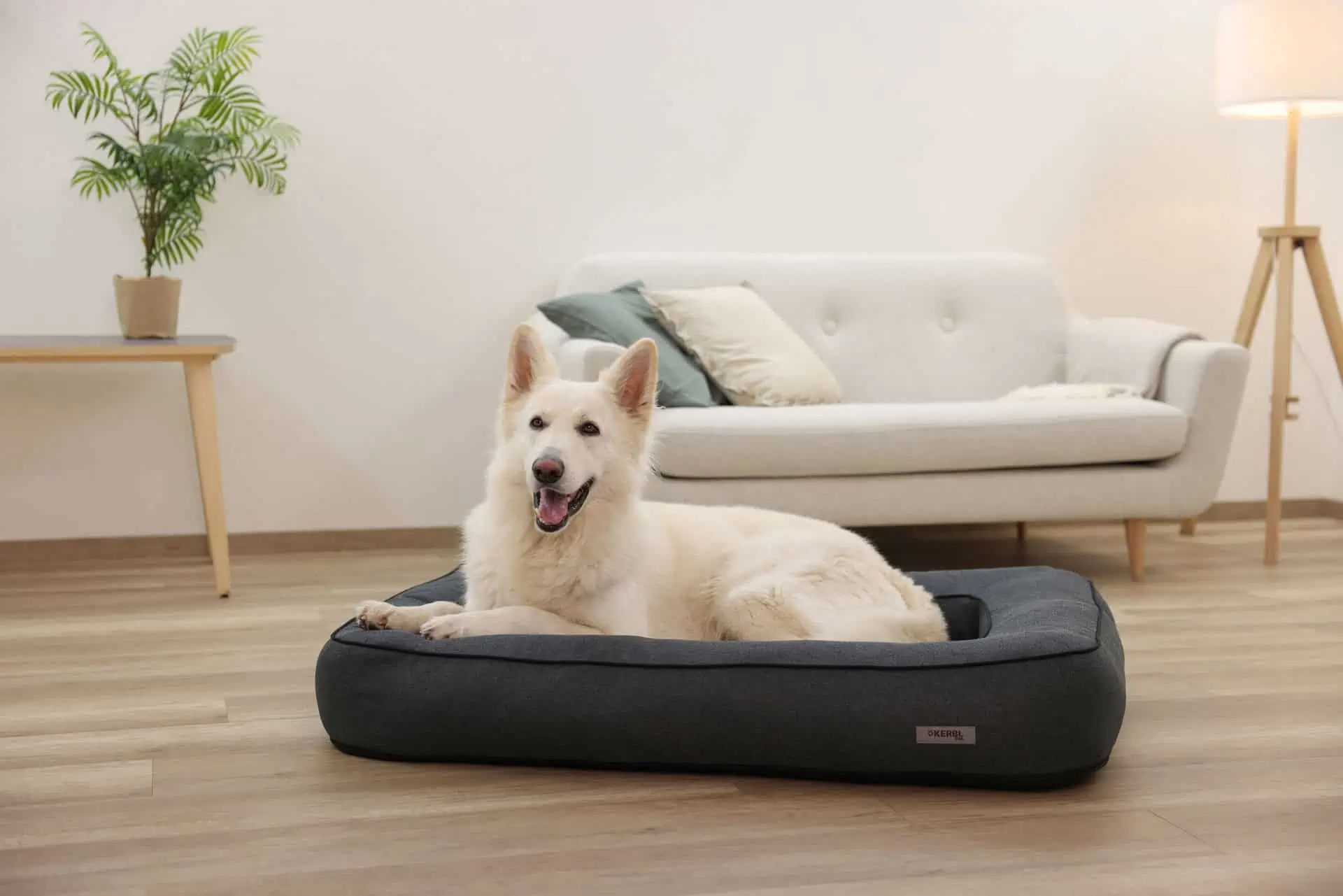 Panier pour chien Kerbl Pet Platin Ortho, corbeille orthopédique, en utilisation, en intérieur