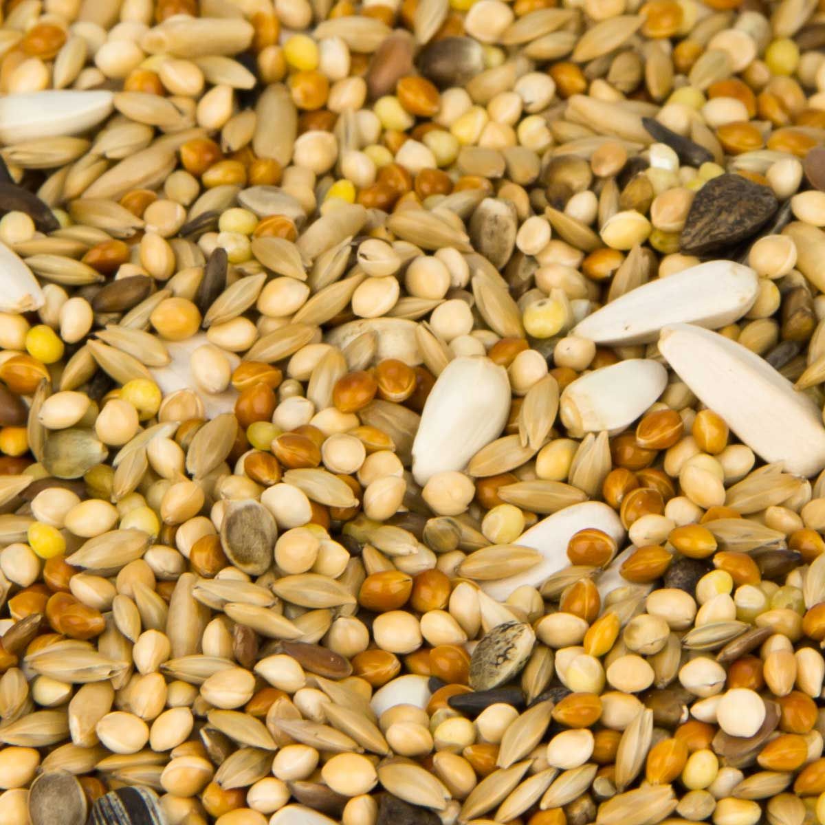 Leimüller Agapornidenfutter, Detailansicht