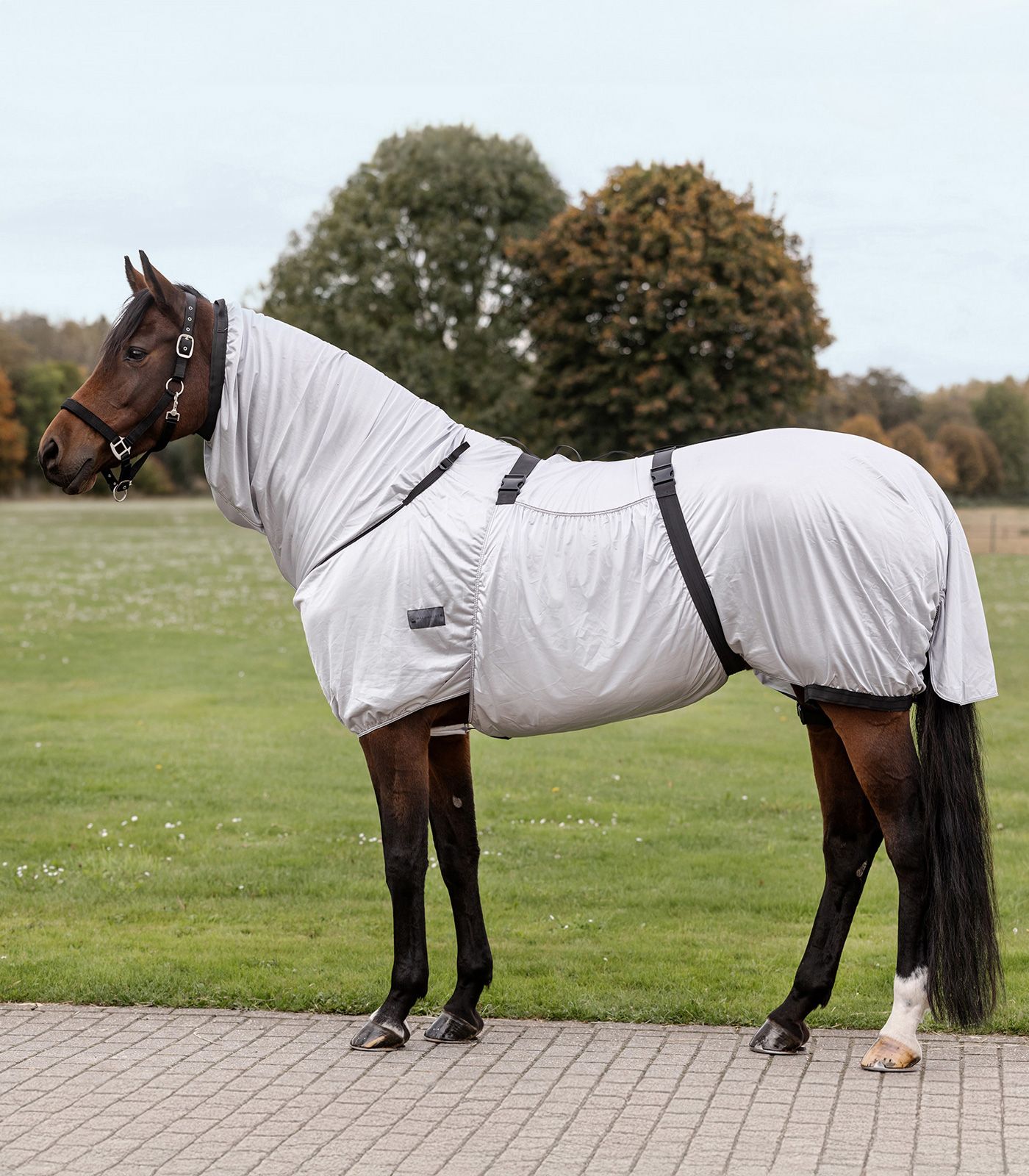 Waldhausen Couverture anti-eczéma Basic, protection insectes, en utilisation