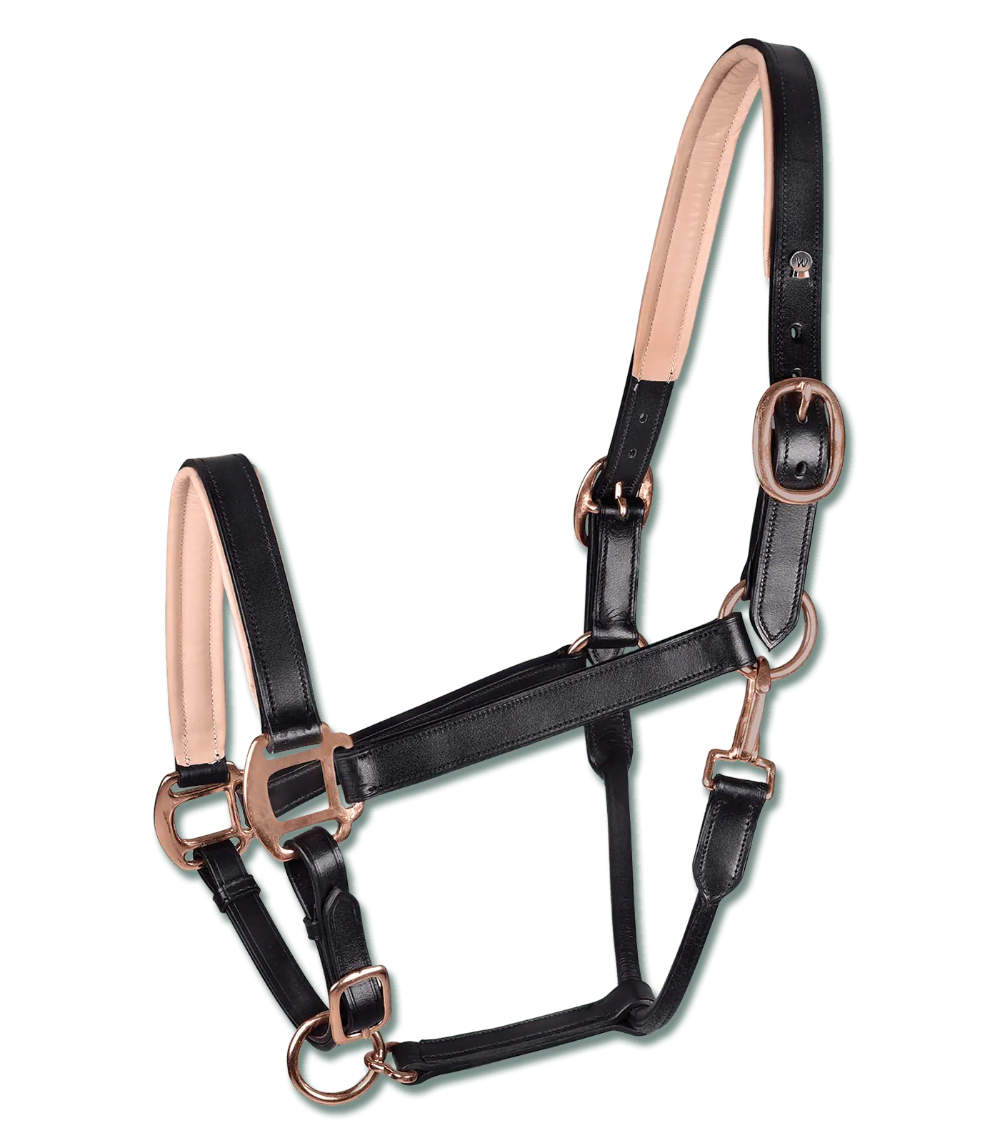 Waldhausen X-Line Lederhalfter Rosé, elegantes Pferdehalfter gepolstert, Warmblut