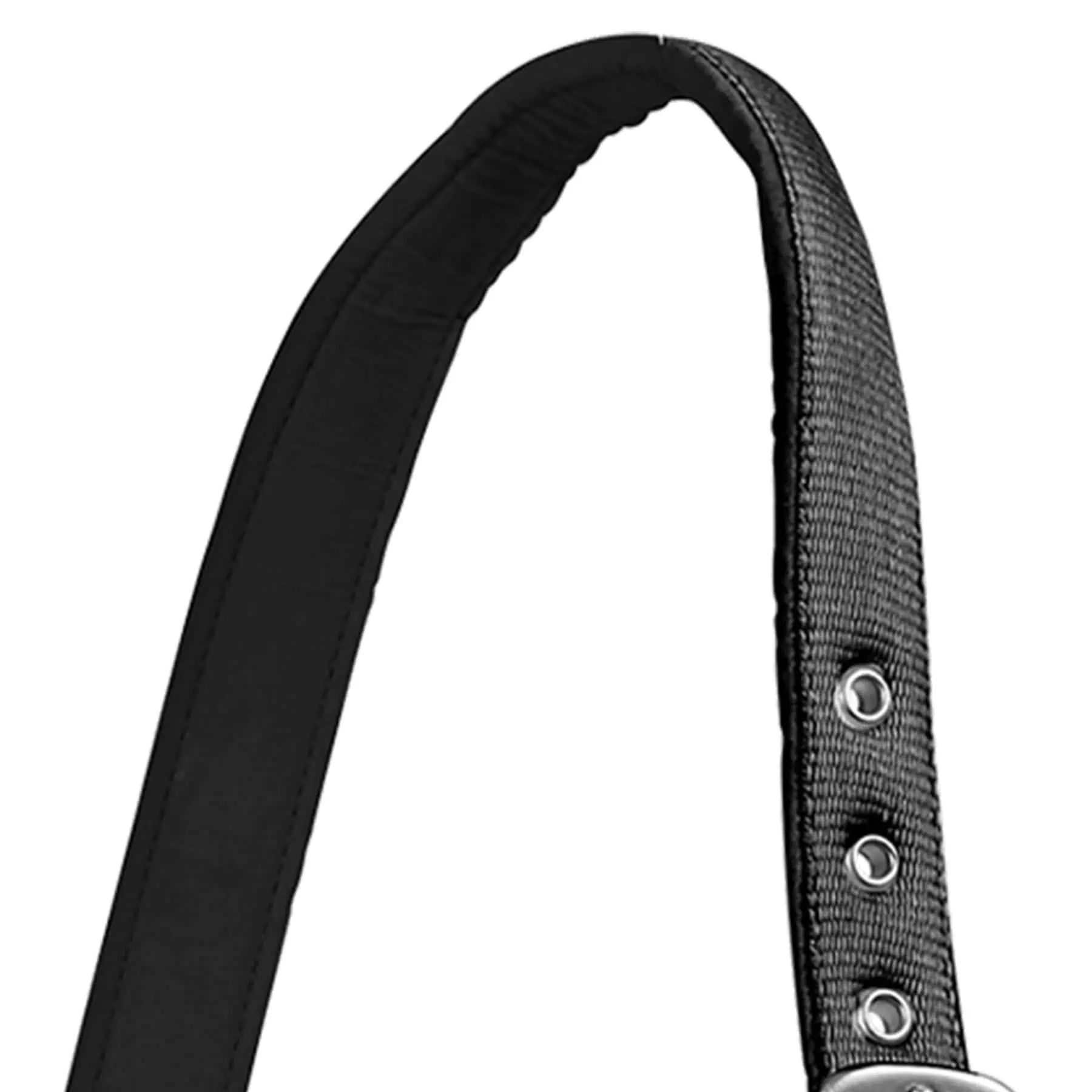 Licol Satin Waldhausen en Perlon, doublé doux et réglable, Noir, X-FULL