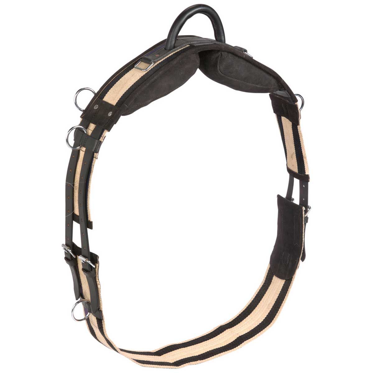 BUSSE Ceinture de poumon avec poignée noir full