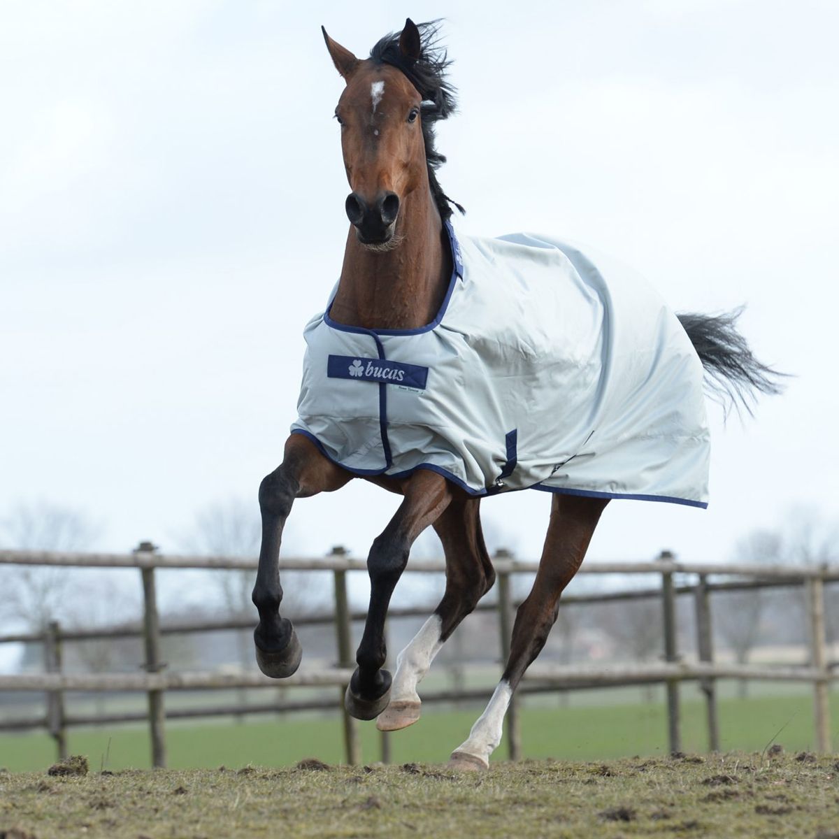 Bucas Power Turnout Light Pferdedecke 155