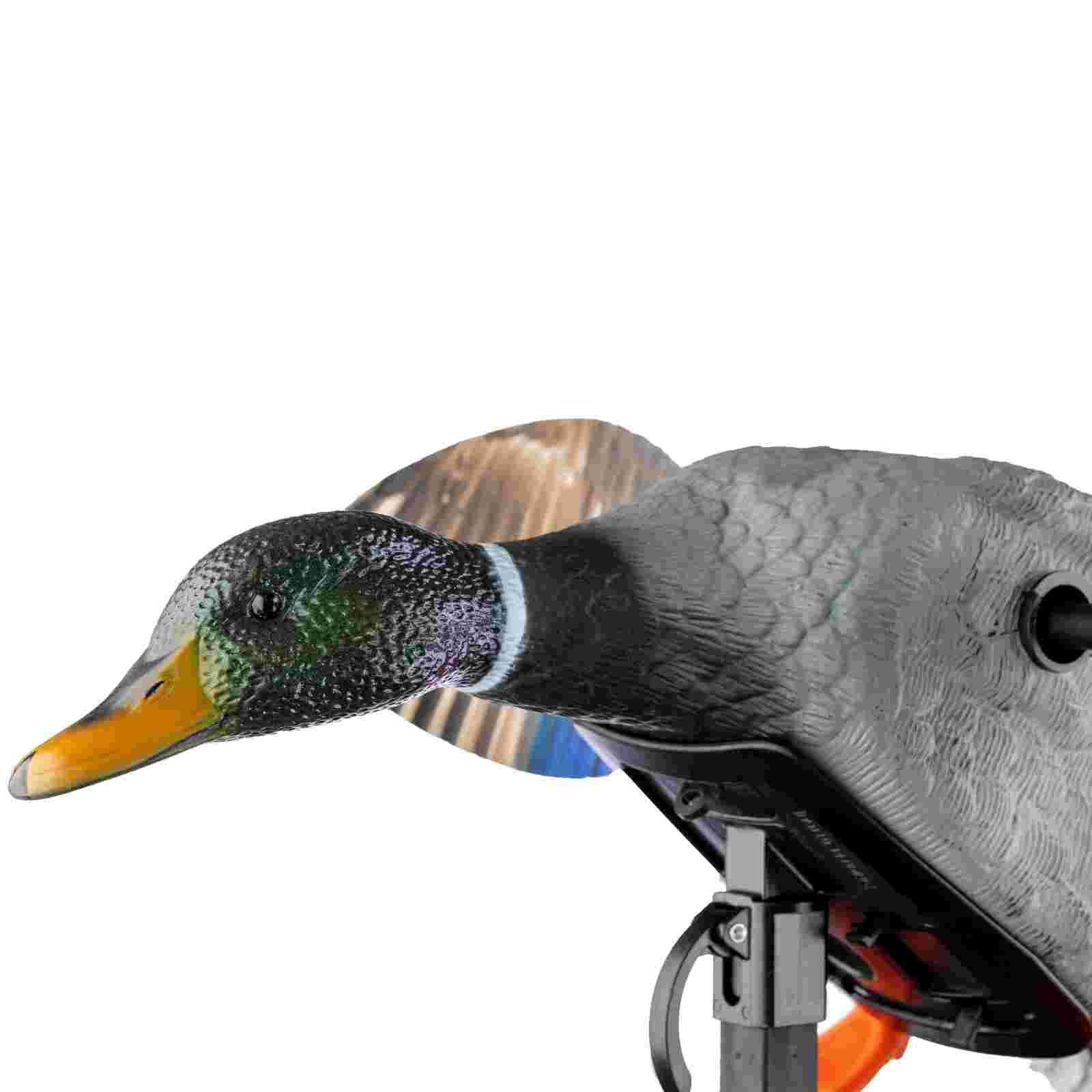 Mojo Mini Mallard Drake Vogelattrappe, Detailansicht