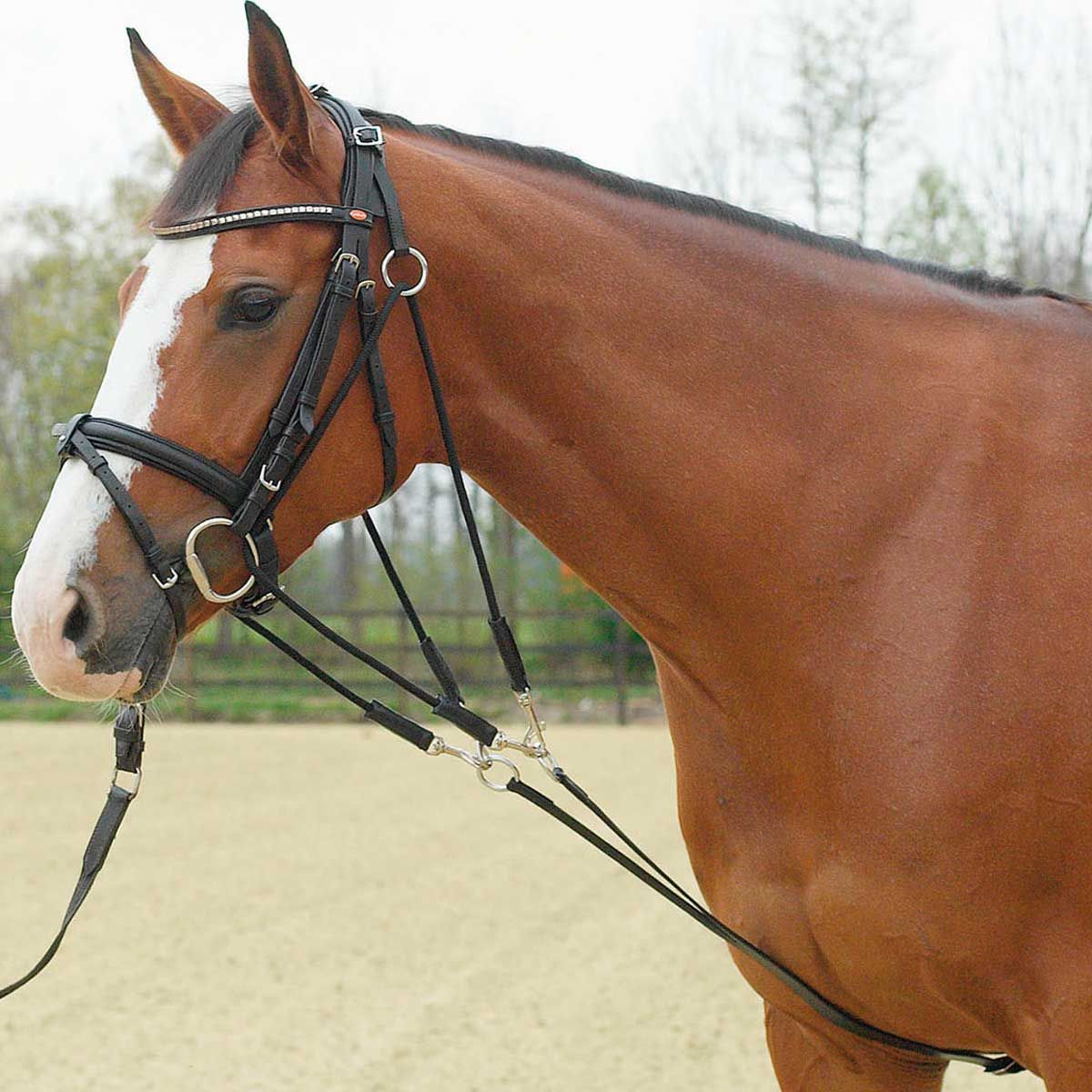 BUSSE Rênes auxiliaires Gogue basic