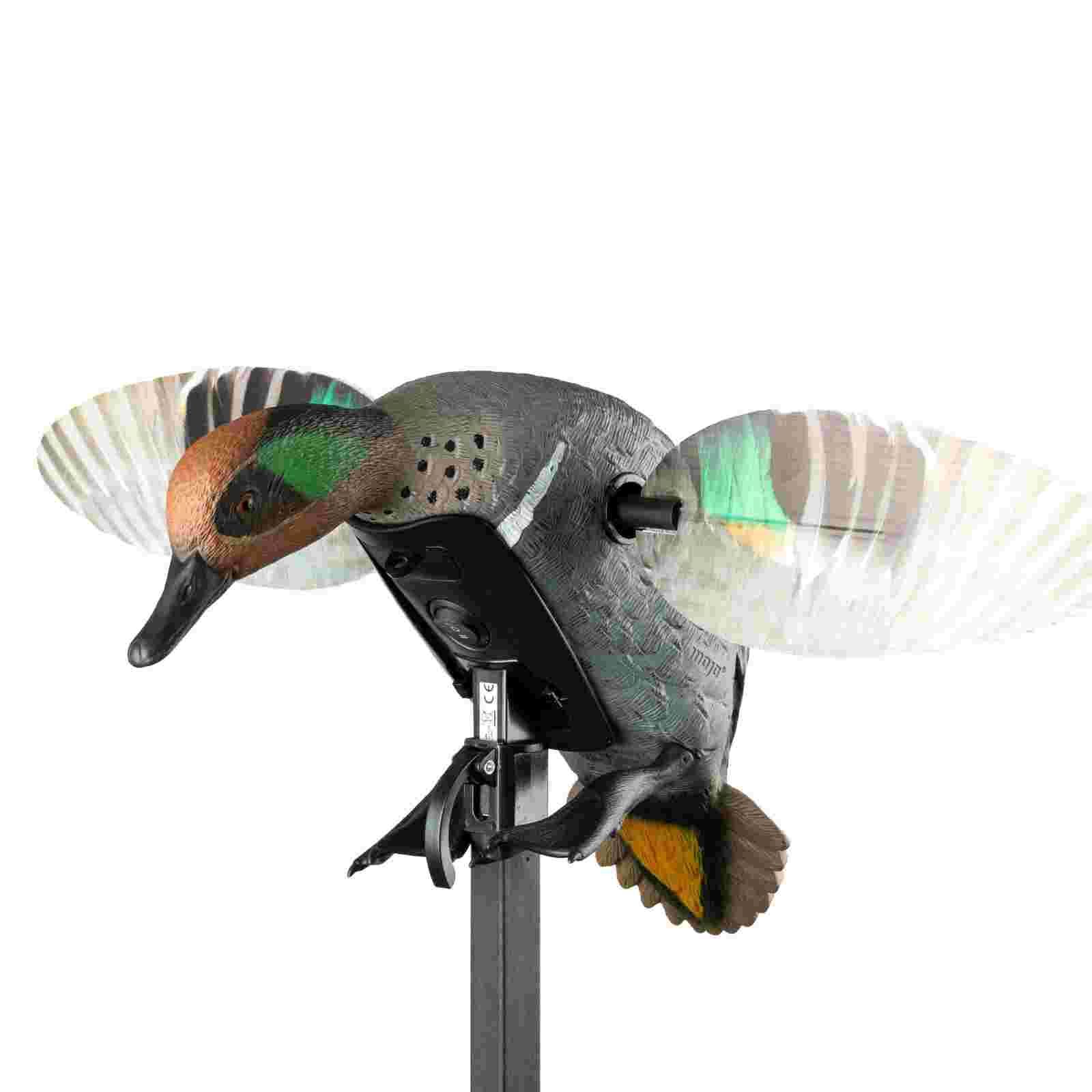 Mojo ES Green Wing Teal