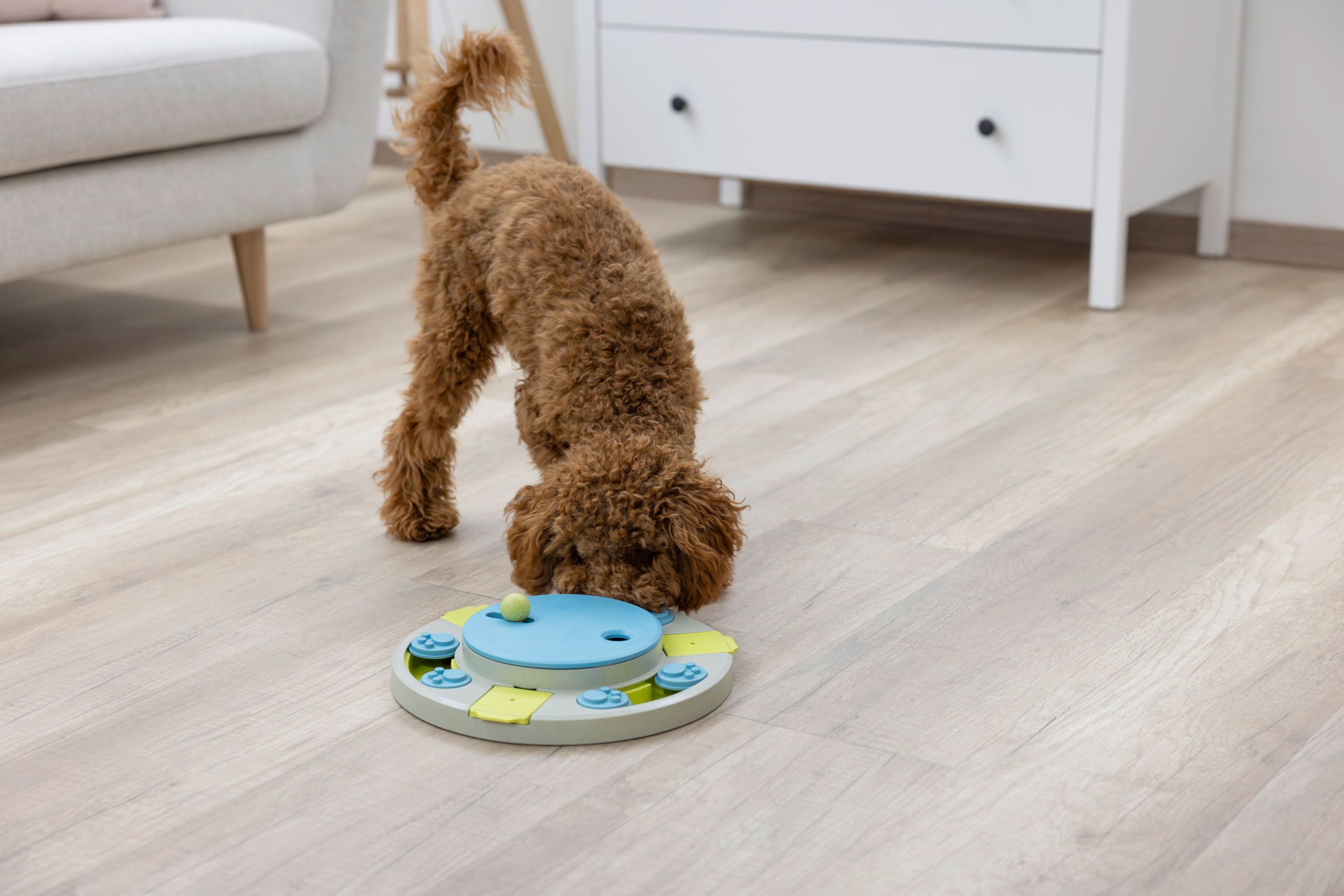 Kerbl Pet Intelligenzspielzeug Turnley Drehteller, Ø 27 cm
