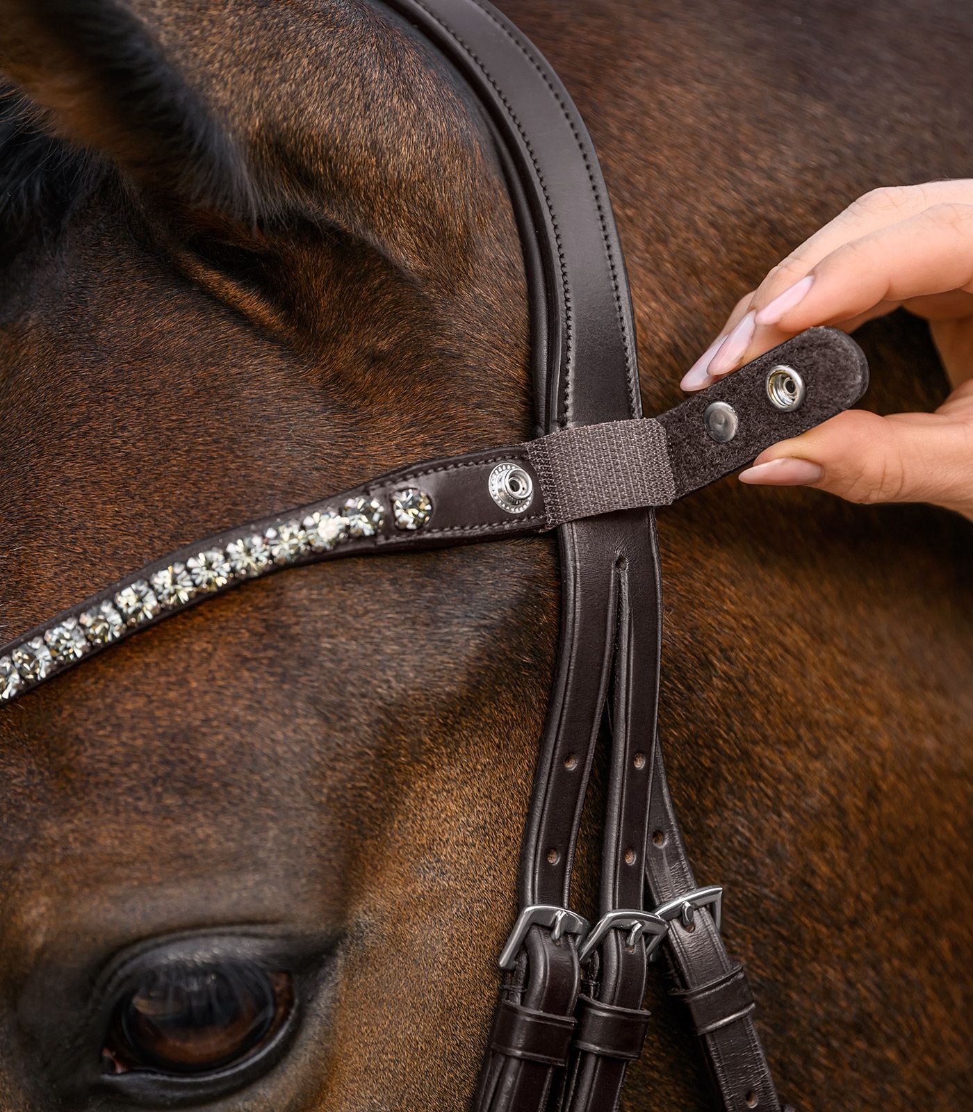 Waldhausen X-Line Stirnband Shine – funkelnde Steine, schnell gewechselt, braun/silber