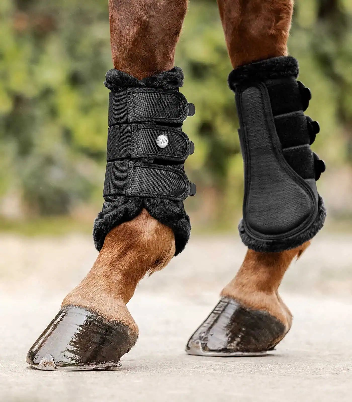 Guêtres de Dressage Waldhausen Comfort Light, Protection Antichocs, noir XL