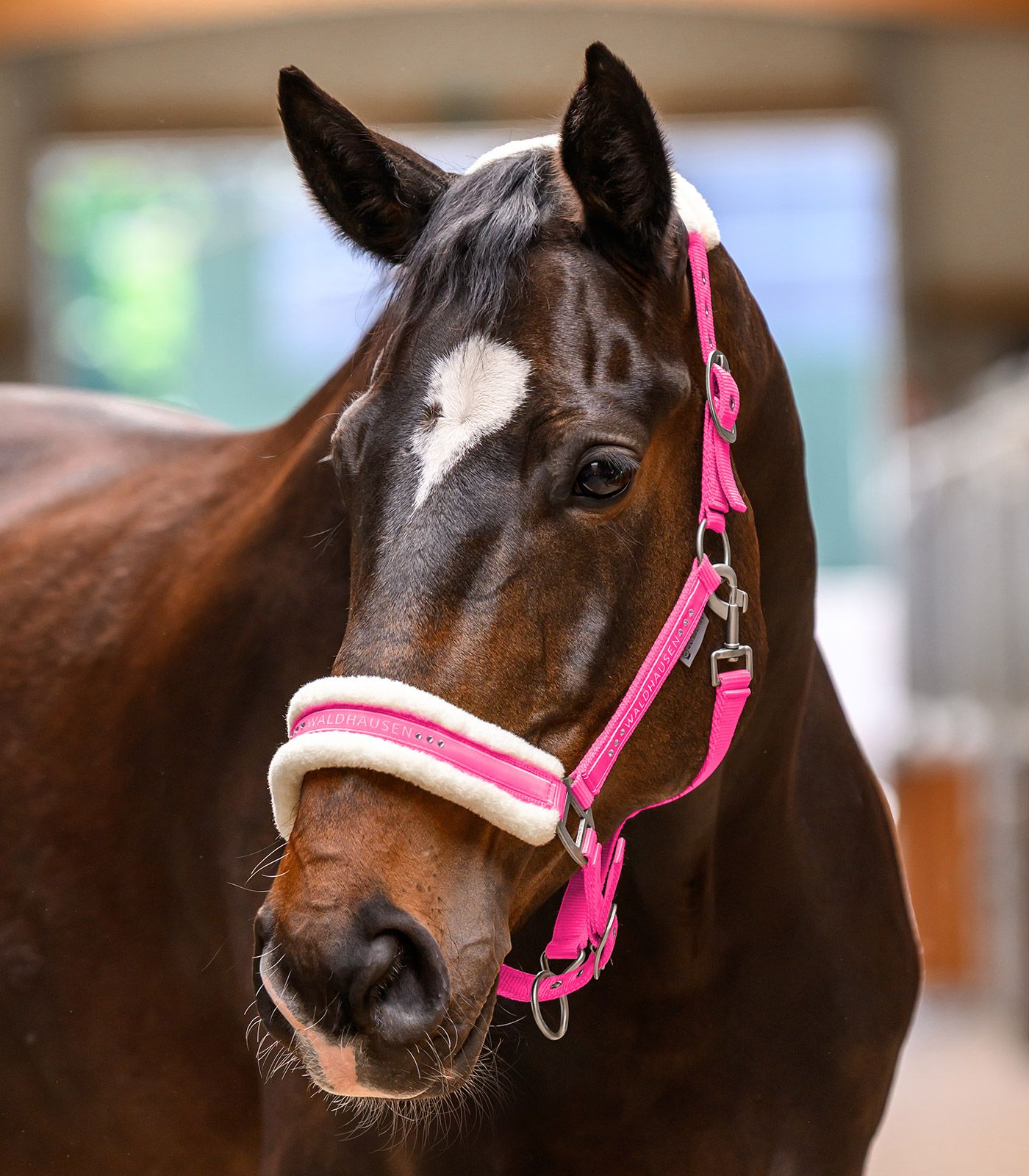 Waldhausen Halfter Elegant mit Glitzersteinen, weich gepolstert, pink