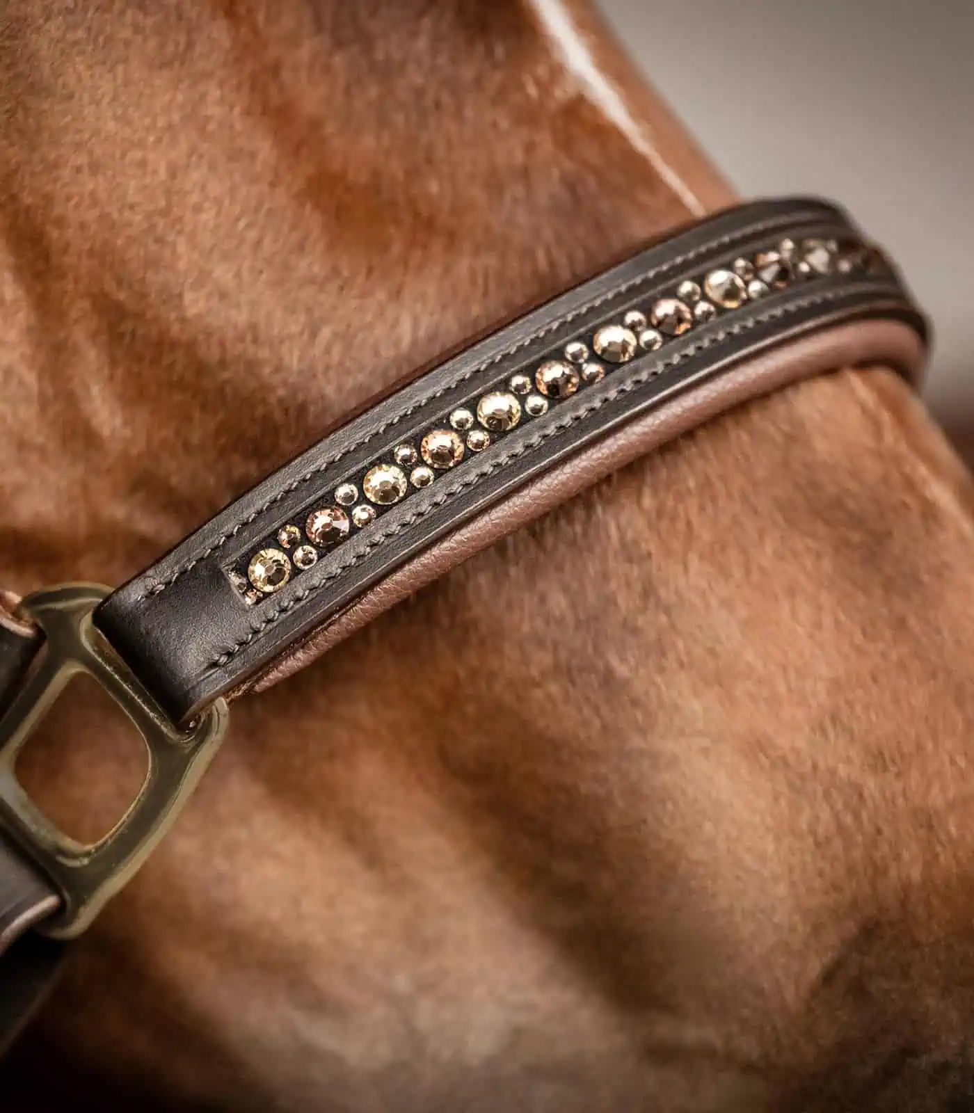 Waldhausen X-Line Licol en cuir Crystal, élégant avec strass, marron/doré Pony