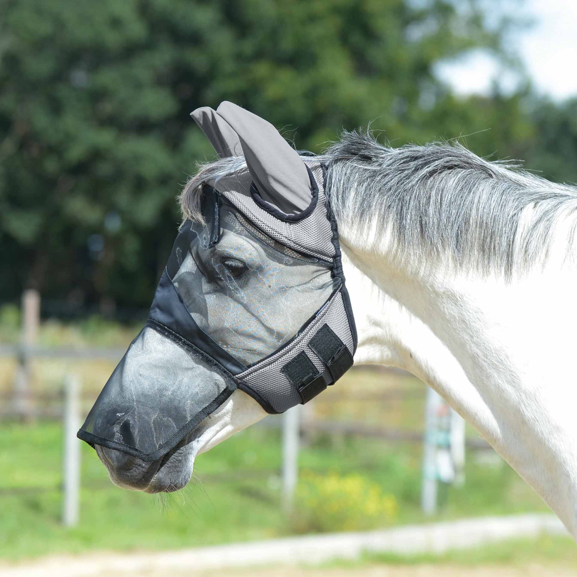 Masque anti-mouches BUSSE FLY COVER PRO GAP II, protection complète cheval, Pony gris/noir