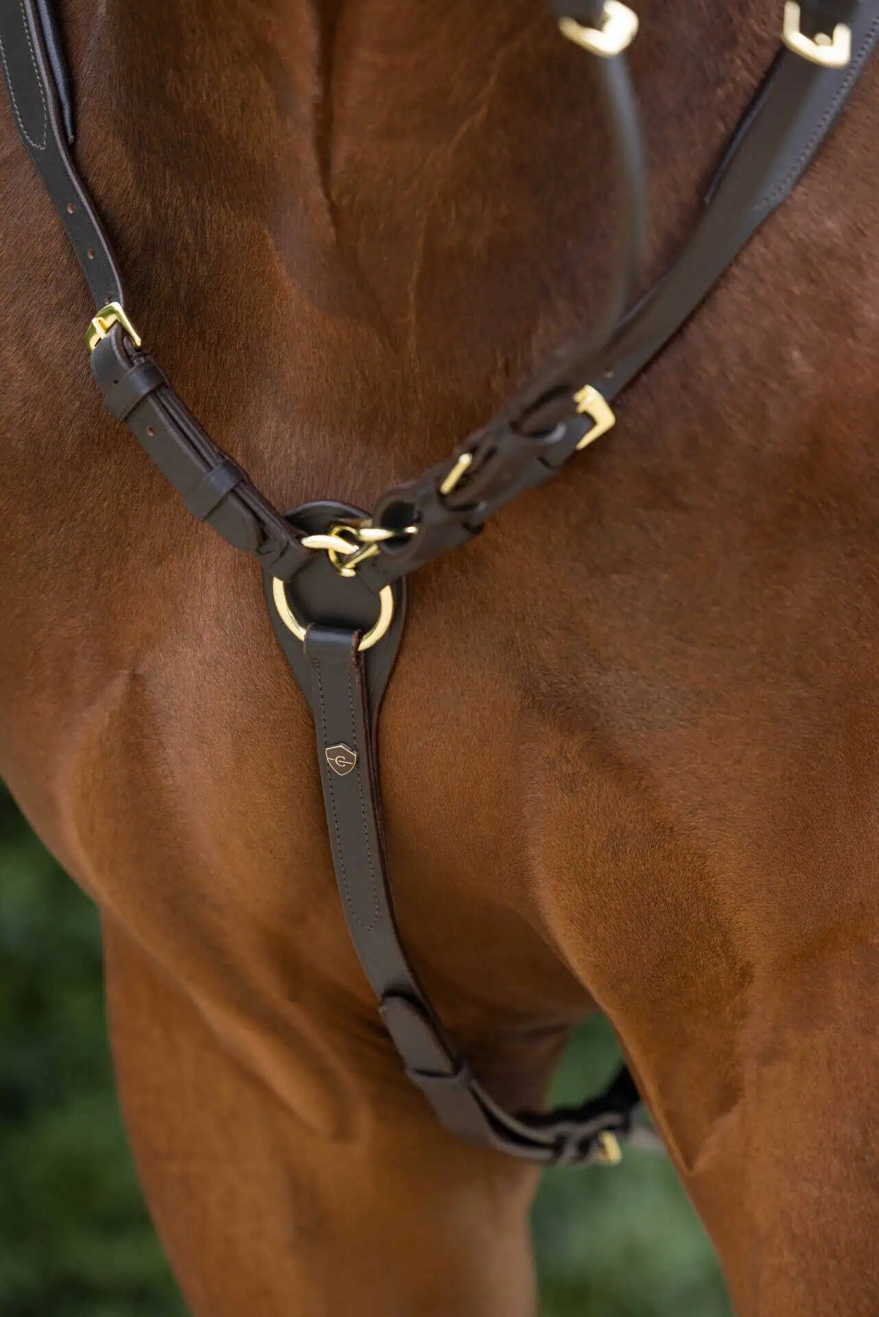 Covalliero Collier de chasse en cuir, forme anatomique, en utilisation