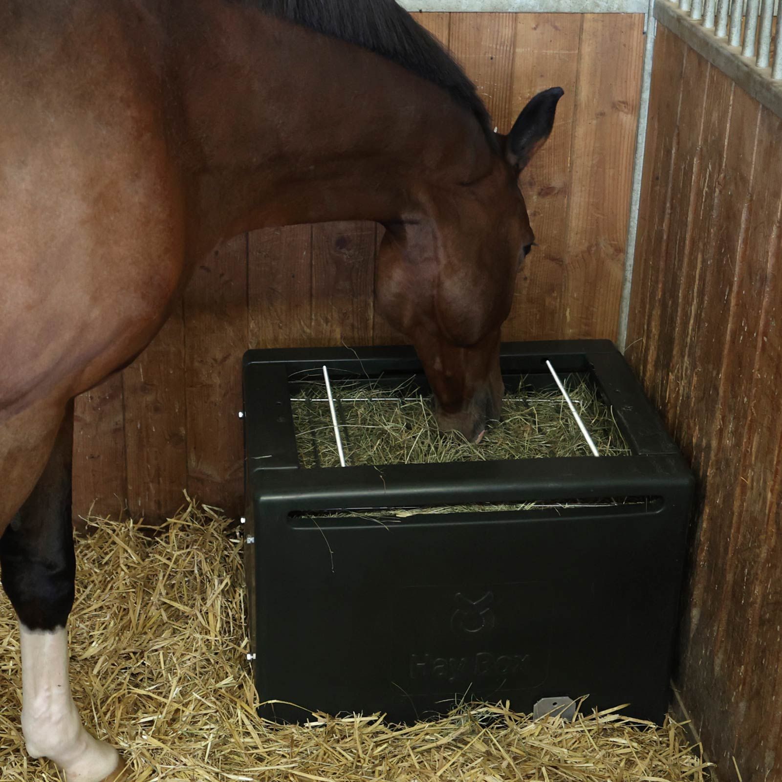 Kerbl Zubehör für Futterraufe HayBox, Boden- & Wandmontage, im Einsatz, im Stall