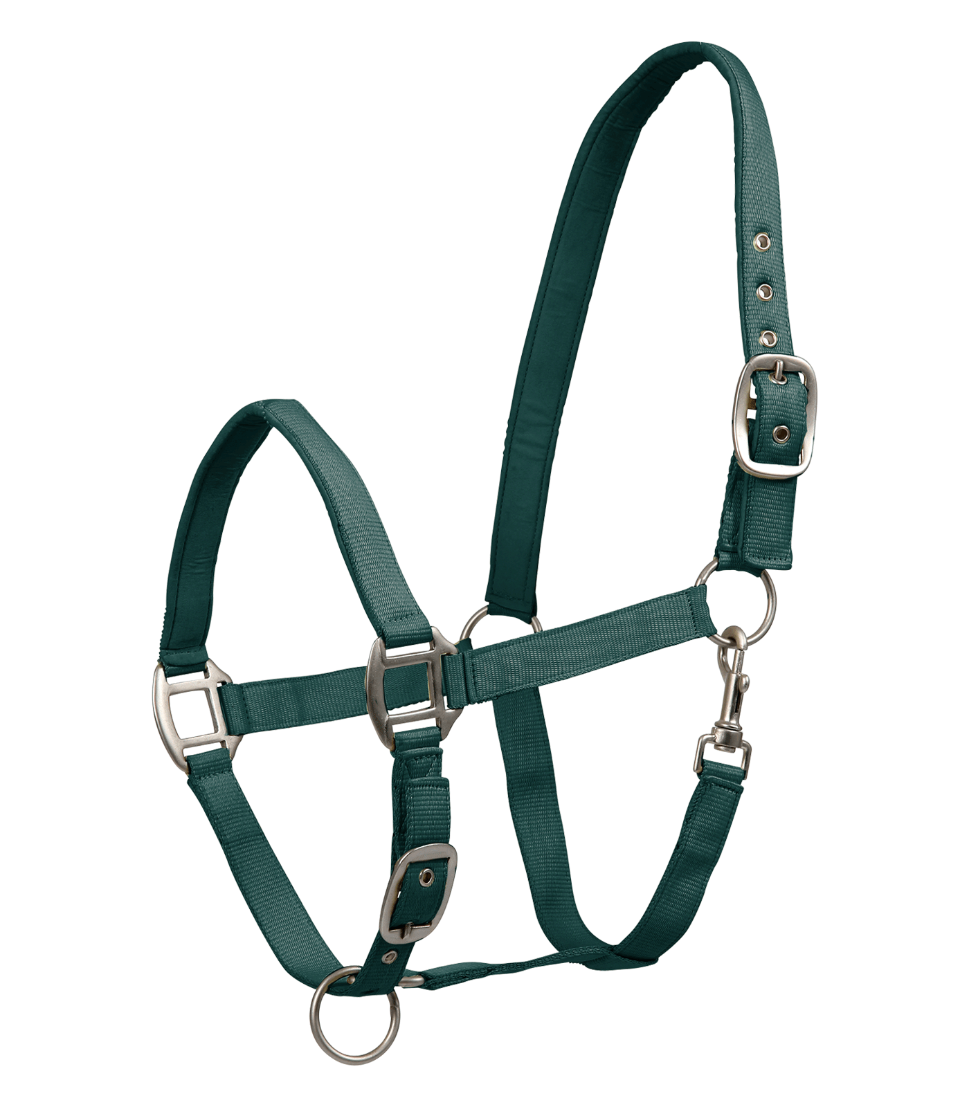 Halter, Pferd, Gurt, Grün, Metall-Bügel