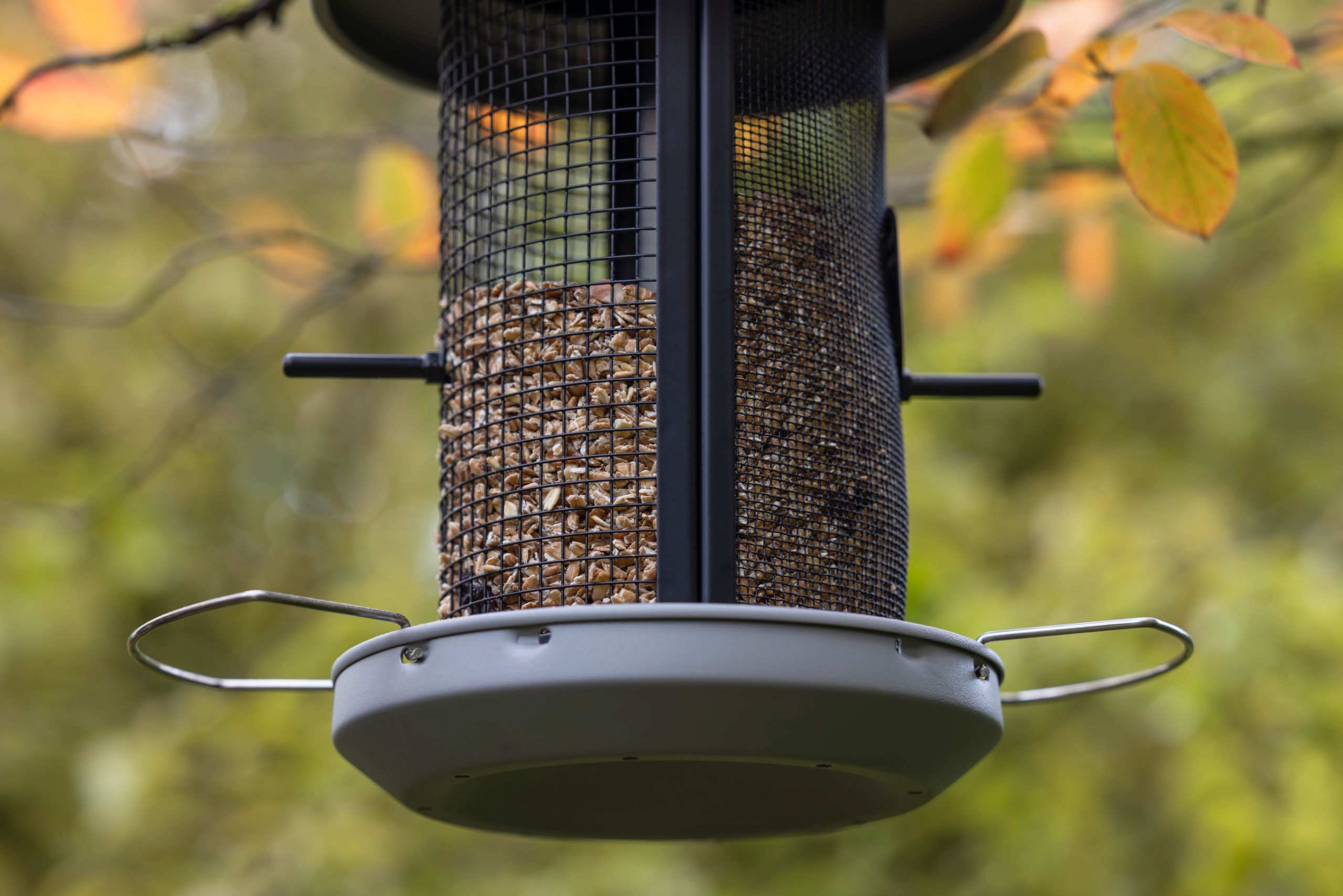 bird feeder, mesh cage, pellets, outdoor, hanging tray