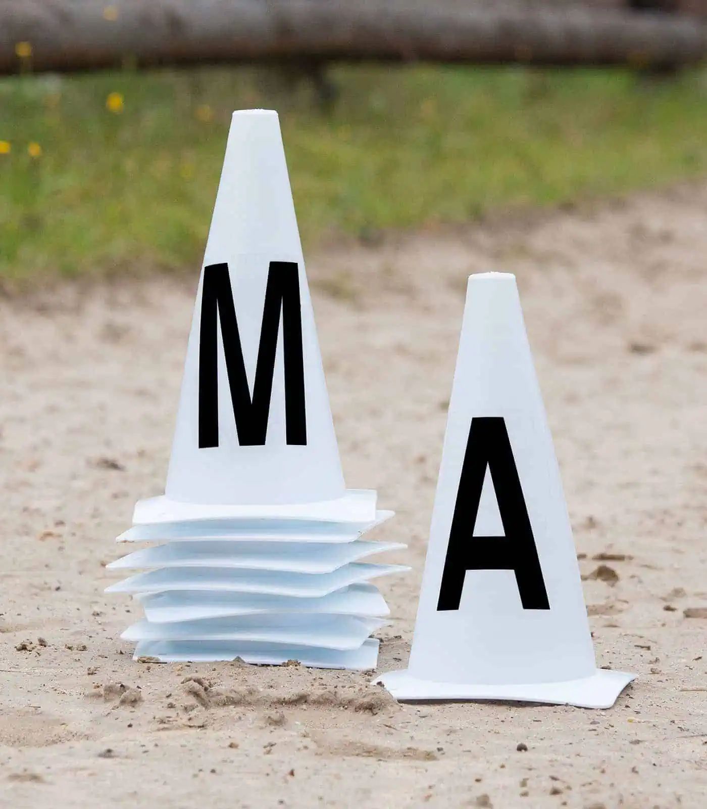 Waldhausen Arena Marker Cones 20x60 m, 12-Piece Dressage Set, in use, in the paddock