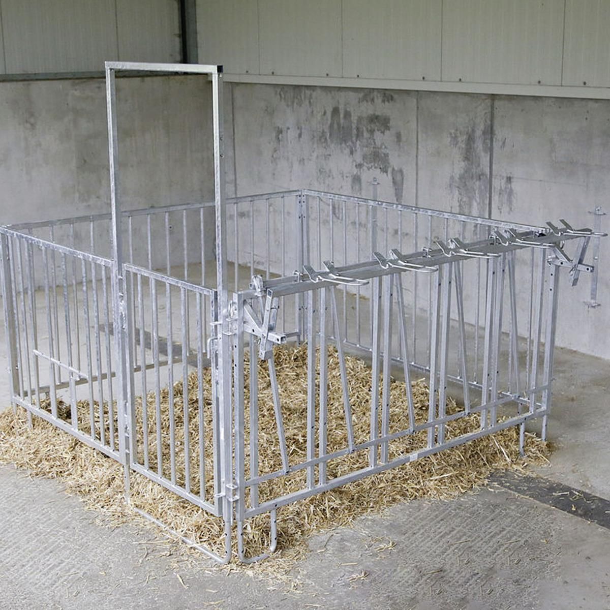 Panneau grillagé modulaire Kerbl pour parc à veaux, image d'illustration, à l'écurie