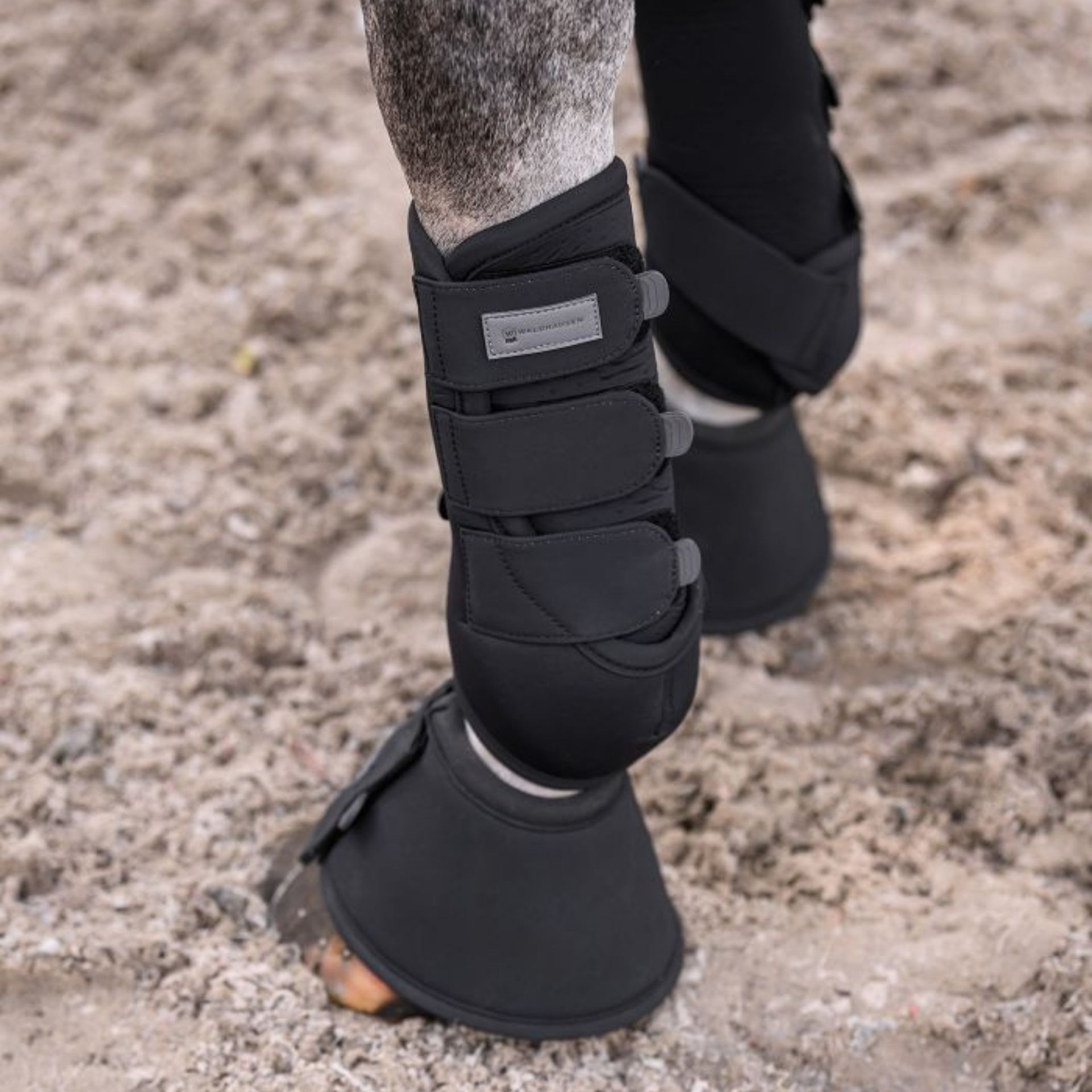 horse boots, leg braces, protective gear, black, set of straps