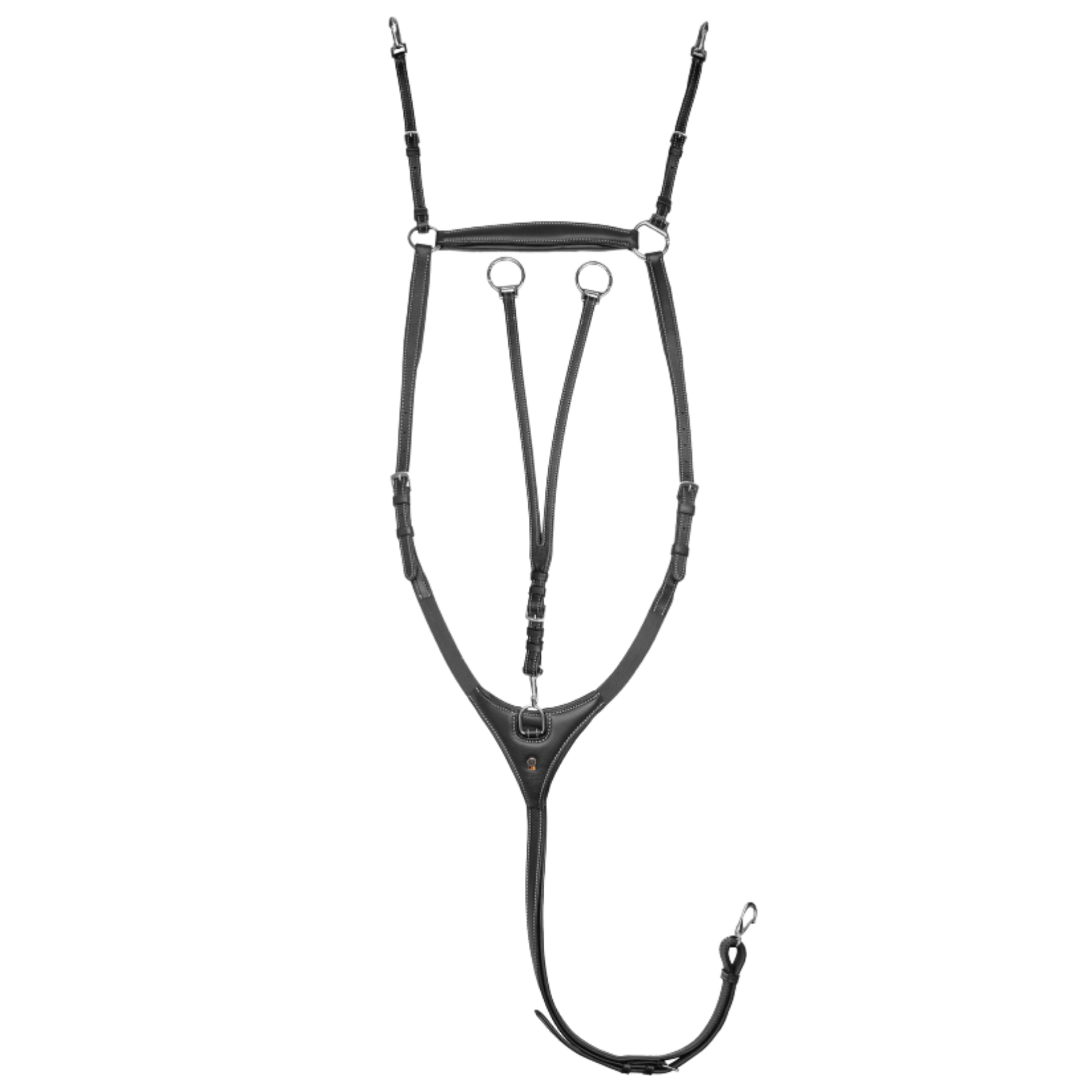 harness, bridle, straps, headstall, tack