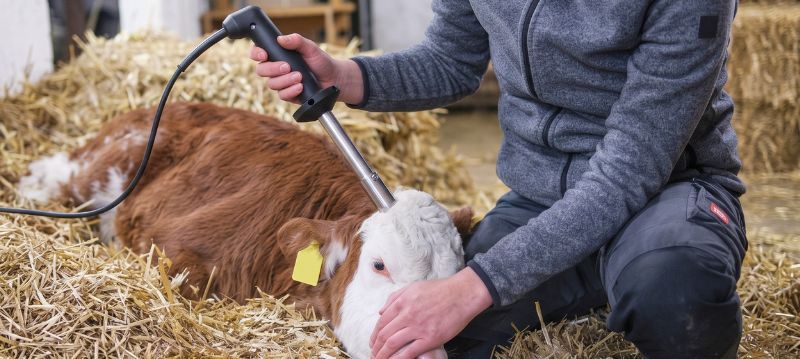 Enthornungsgeräte