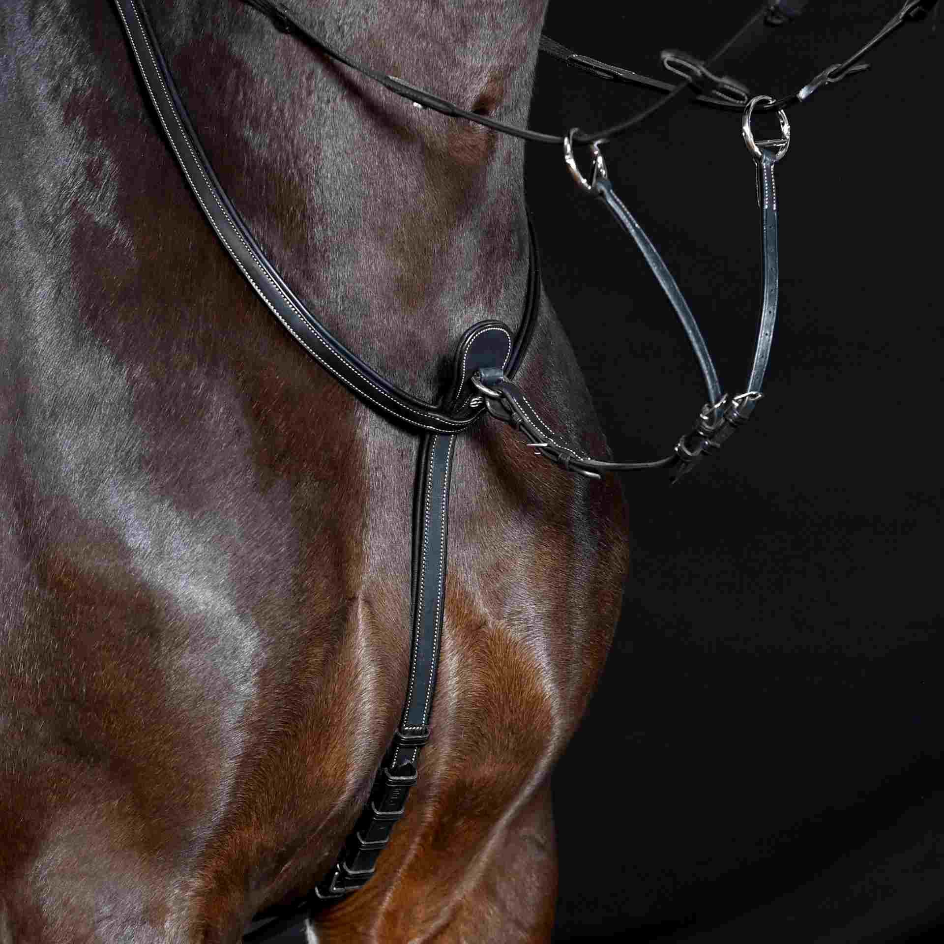 Martingale BUSSE TAKE-OFF LINE AM, en cuir, réglable, en utilisation