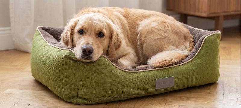 Dog Bed