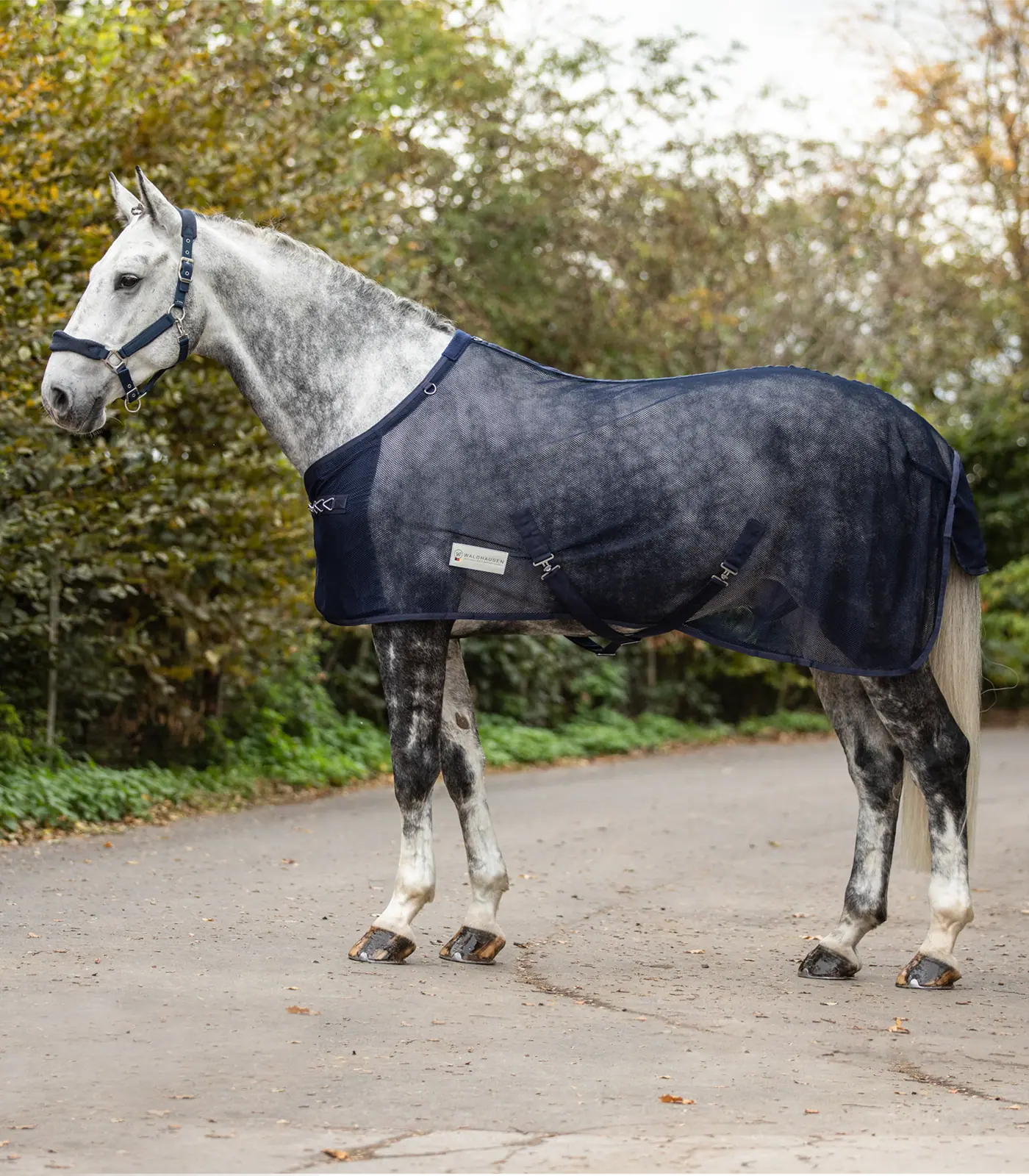 Waldhausen COMFORT Fly Rug with Crossover Straps, Breathable Mesh, in use