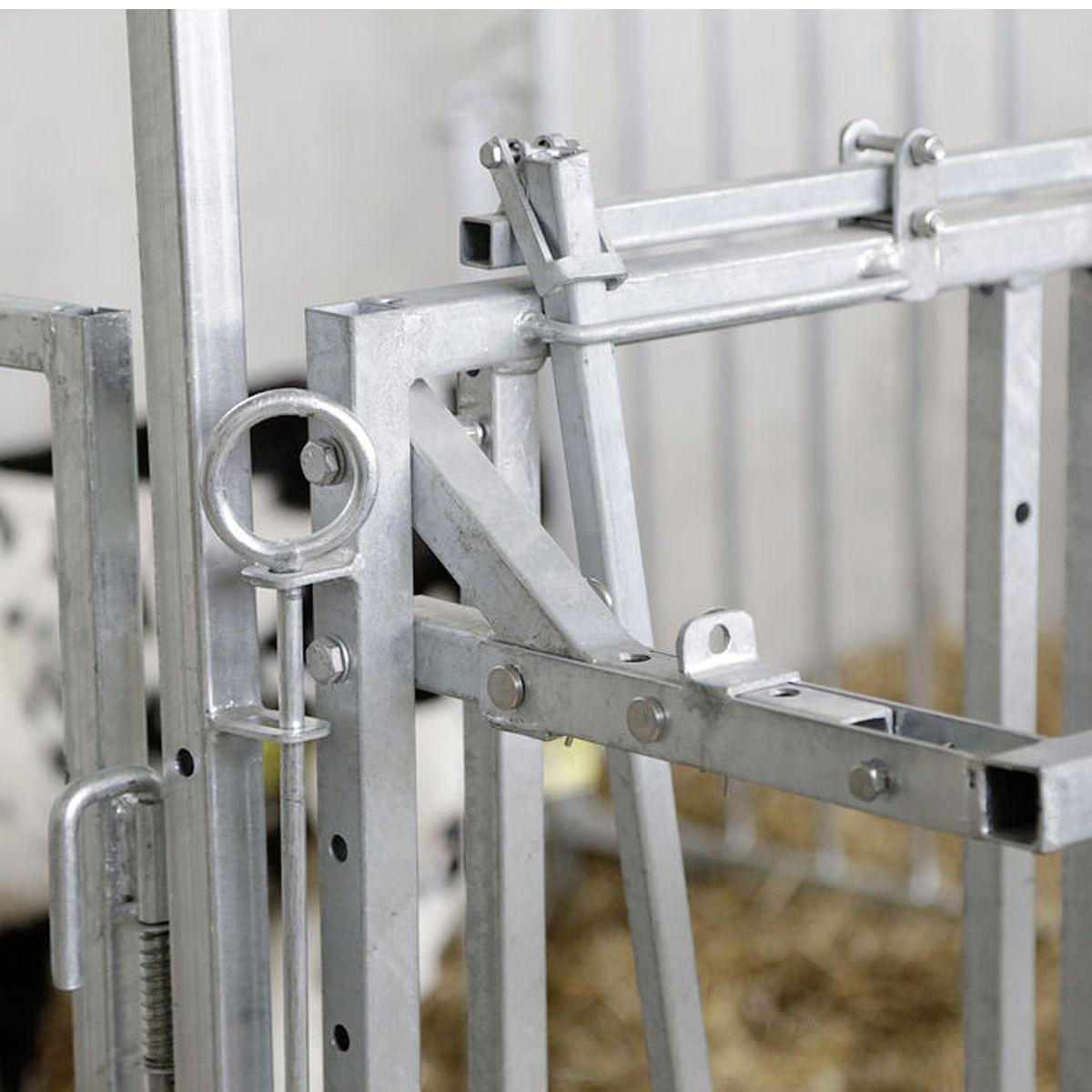 Cornadis Modulaire pour veaux, Enclos d'alimentation, détail, borne