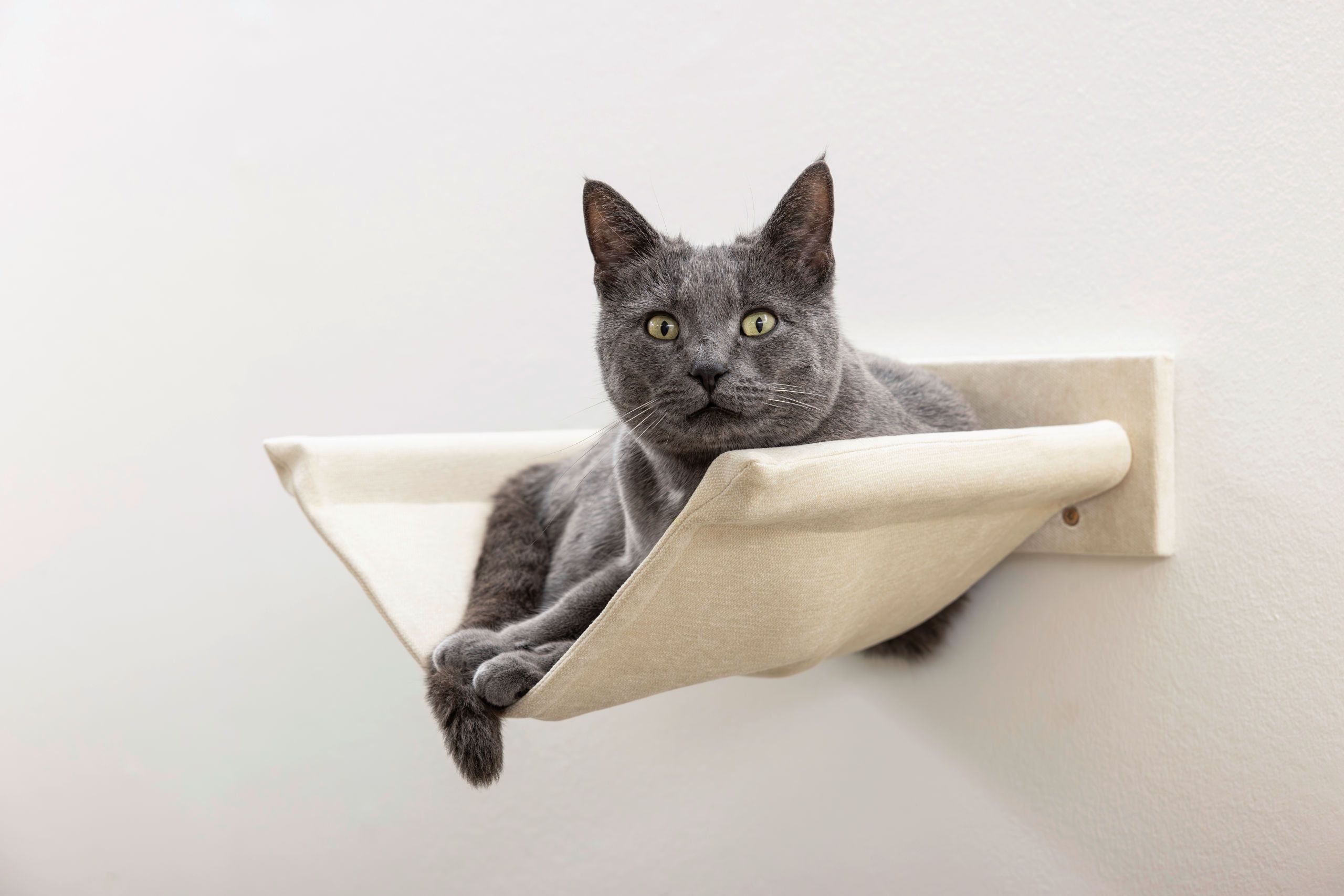 Kerbl Katzen-Kletterwand Monte Falco 10-teilig, beige