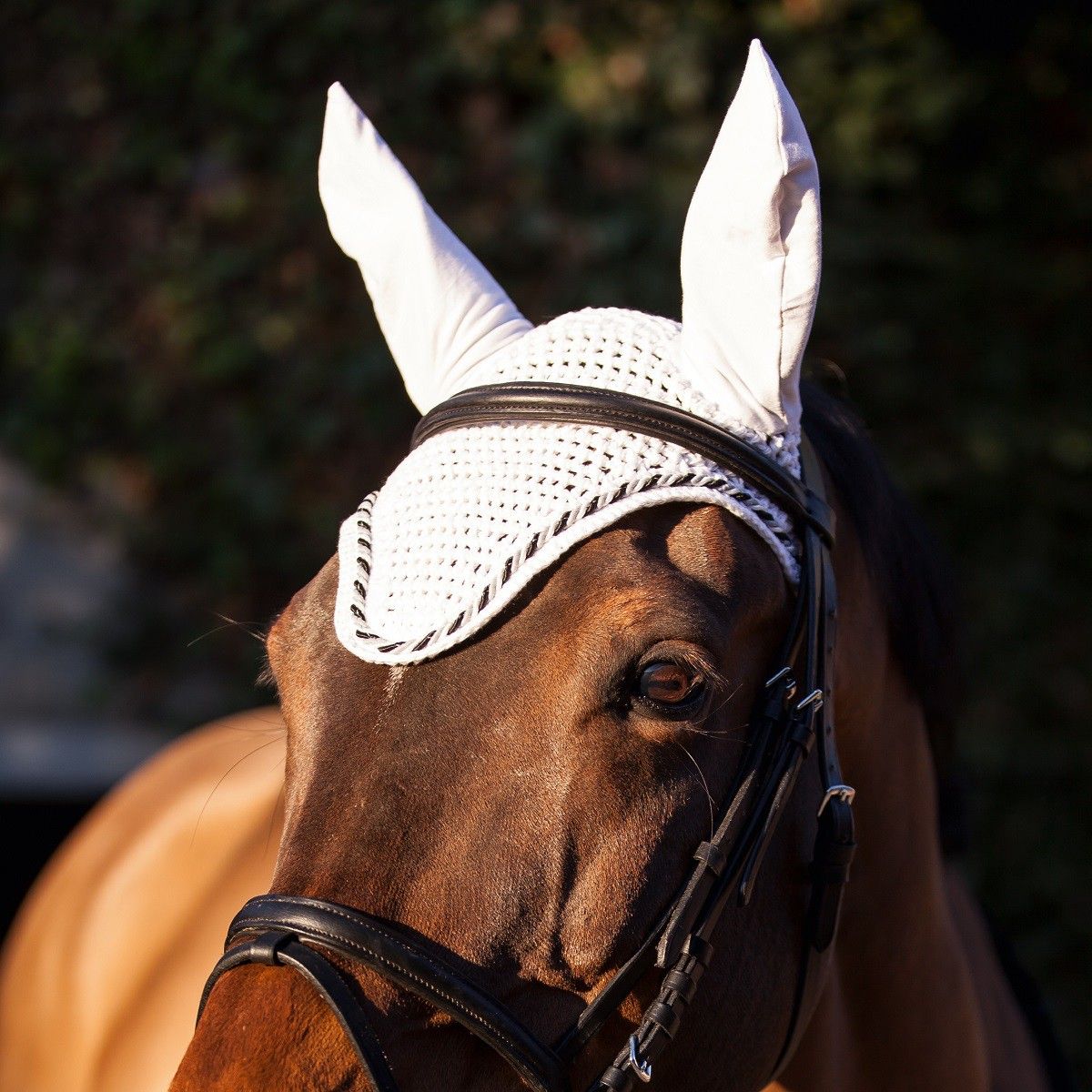 Fly hood, white, with elastic ears white