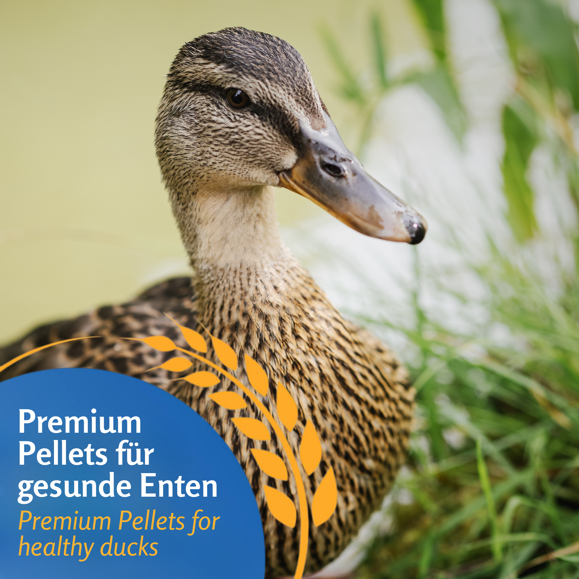 Duck feed Geese feed Pellets Leimüller from Austria