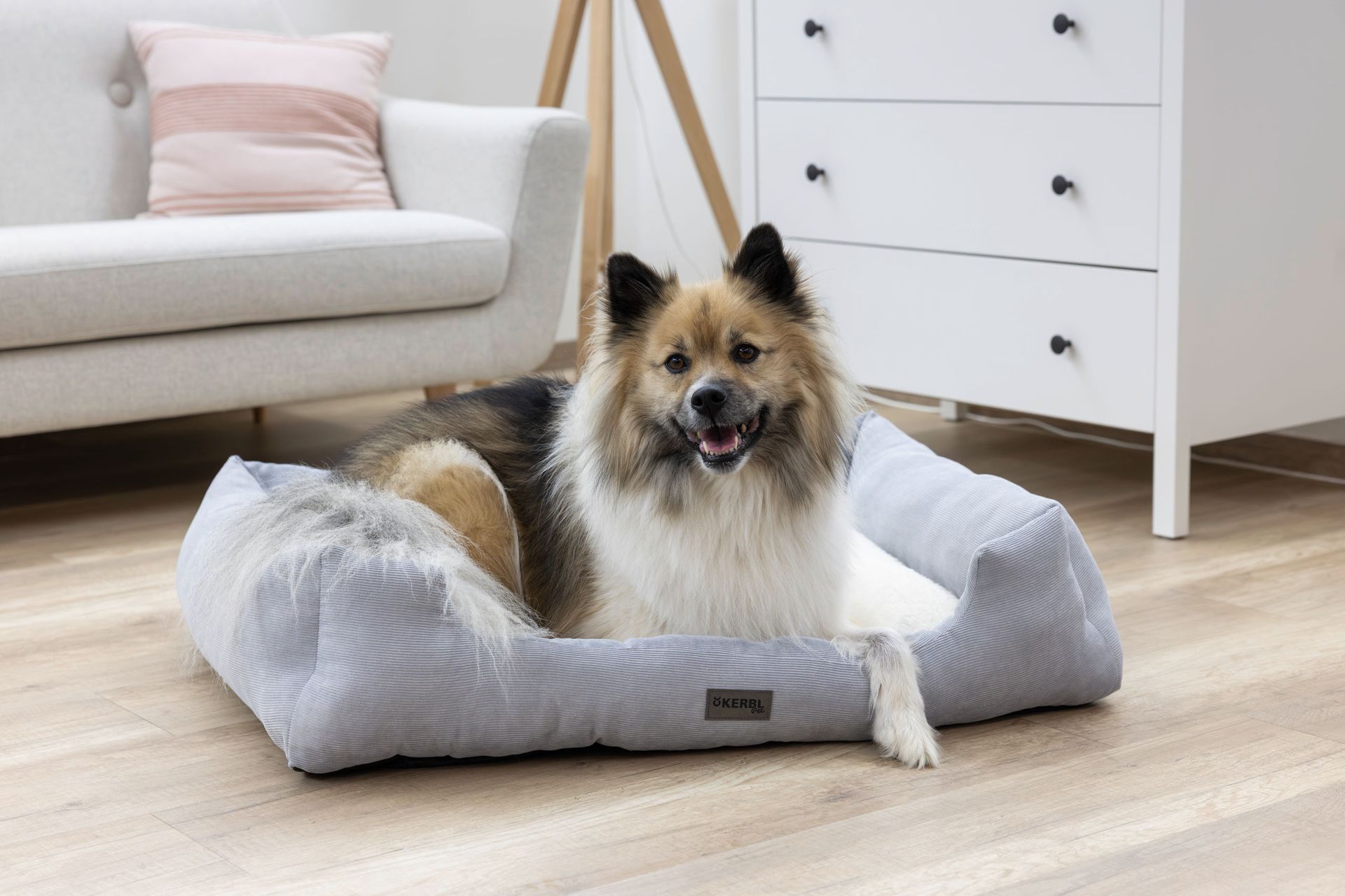 Kerbl Zoe cuccia per cani con bordo, lavabile, grigio-bianco, in uso