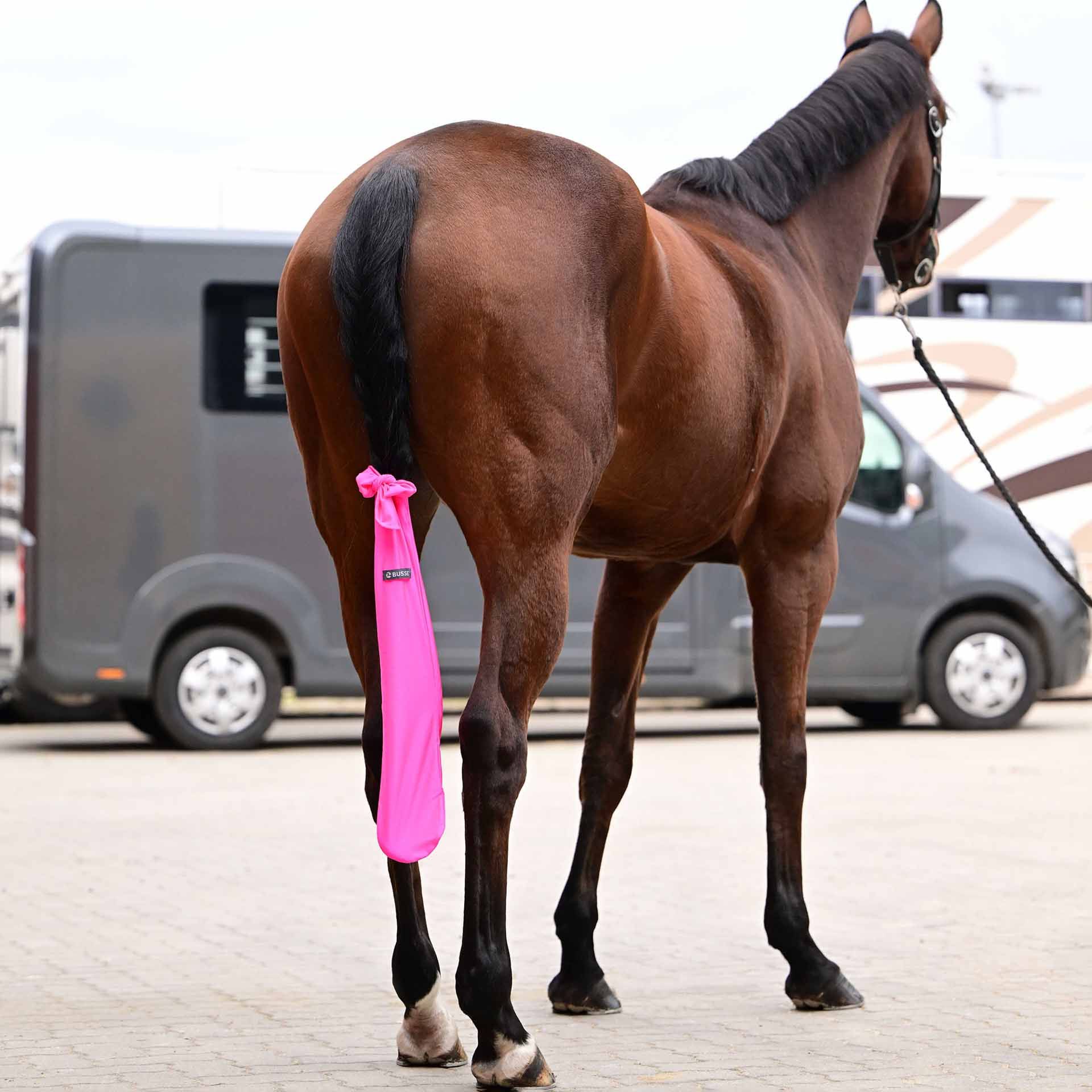 BUSSE Schweifschoner CLEAN, weicher Schutzsack für den Pferdeschweif, pink