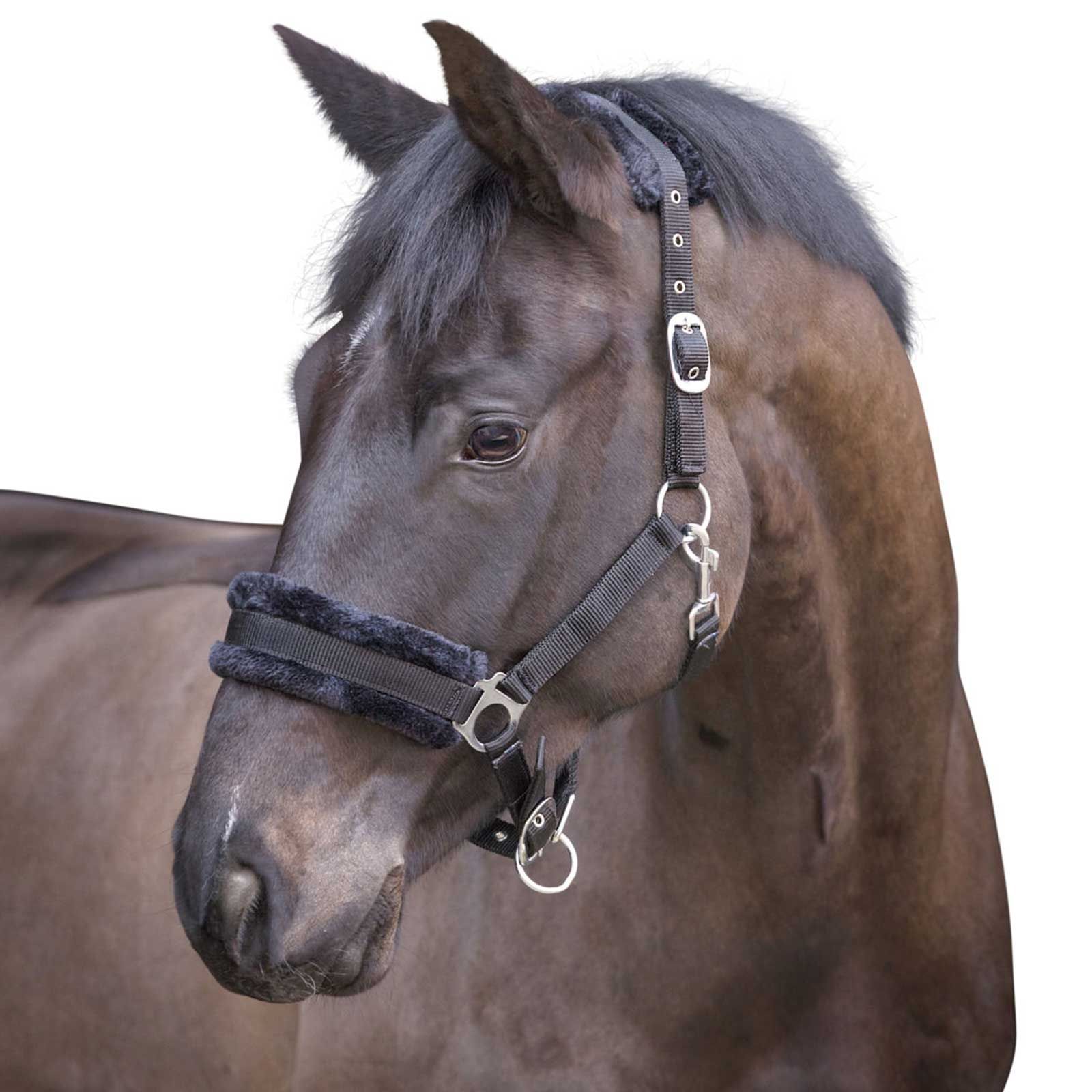 Halter with faux fur