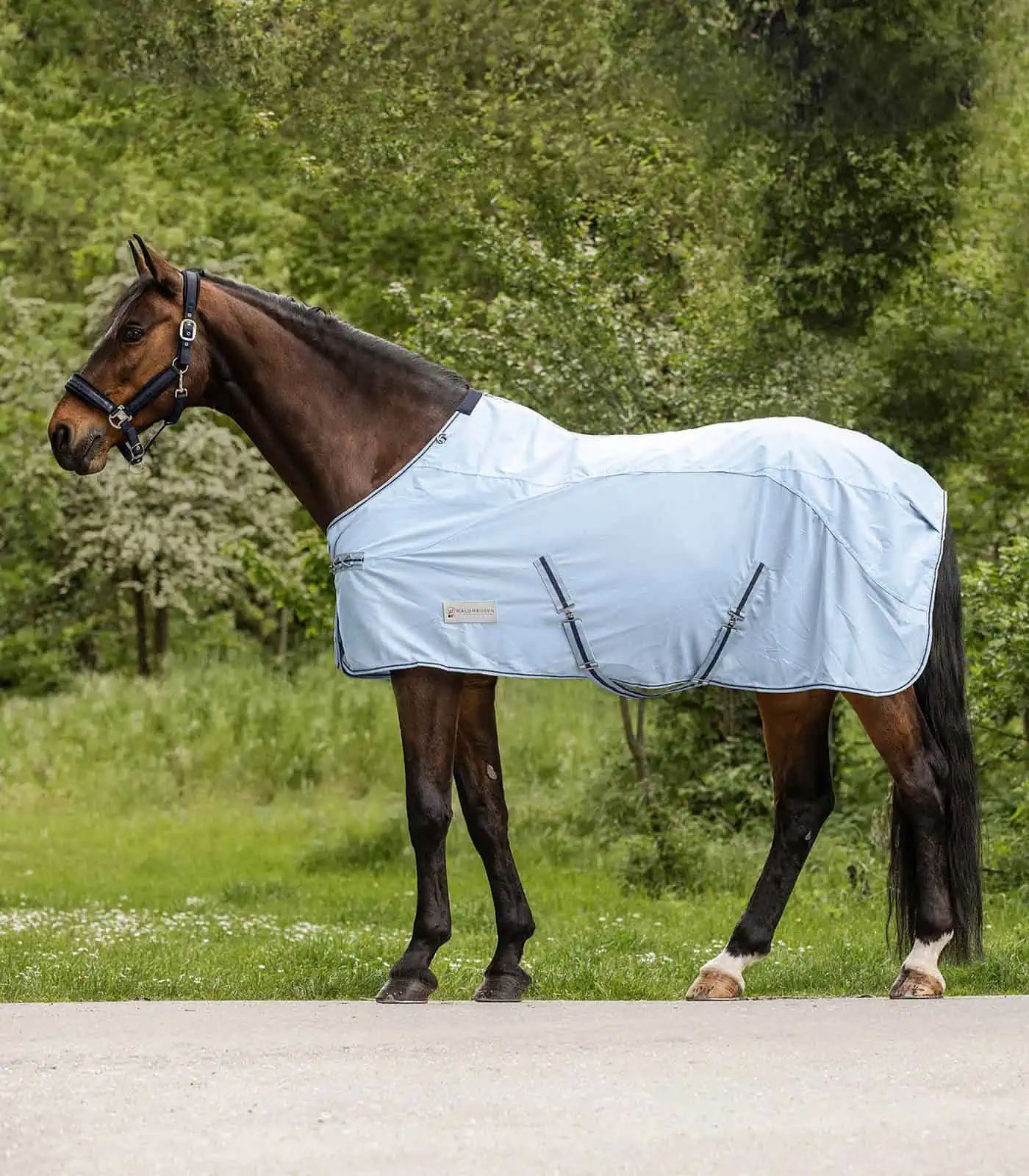 Waldhausen PROTECT Couverture Anti-Mouche Imperméable avec Insert Dorsal, bleu clair/bleu nuit 135 cm