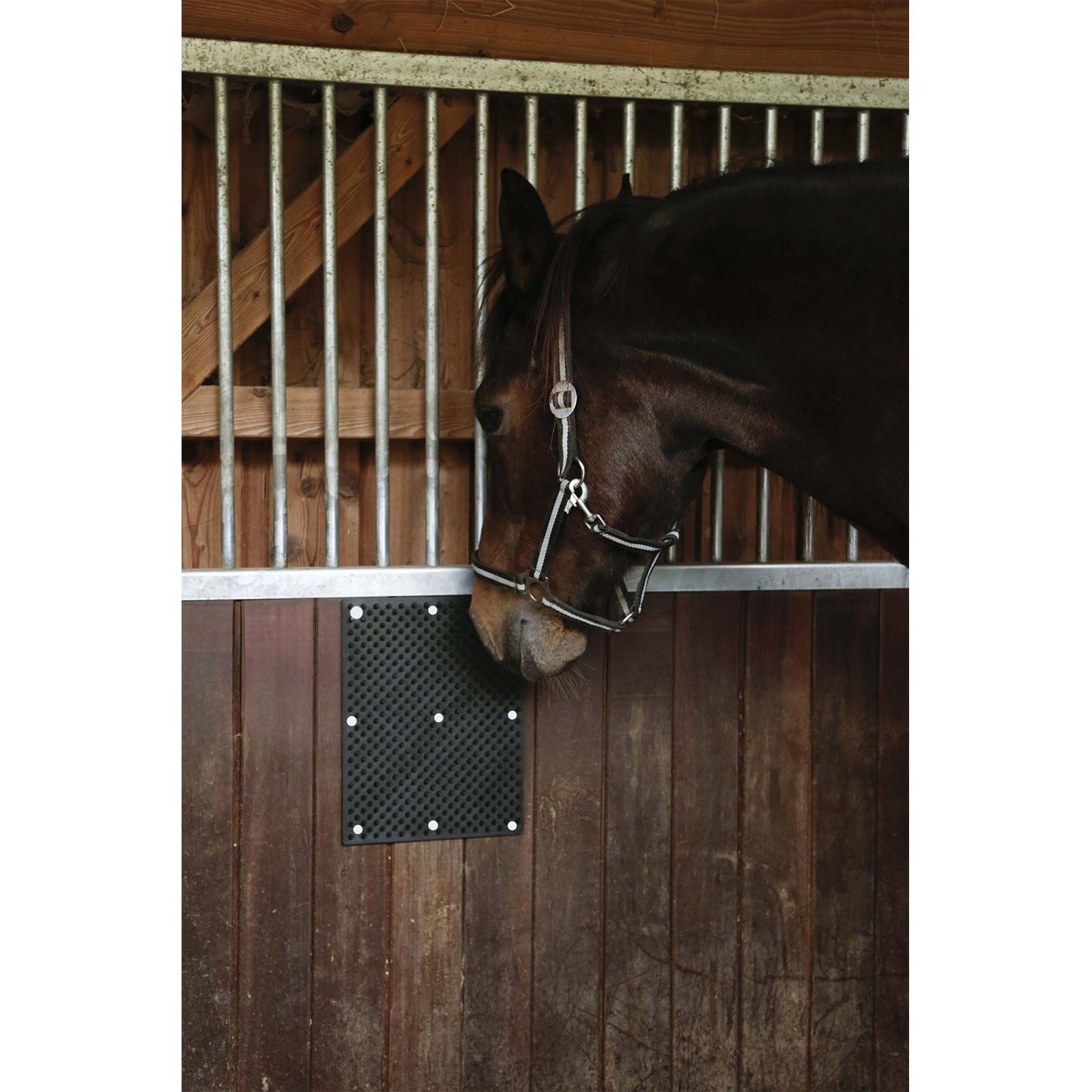 Tapis à gratter Kerbl pour chevaux, poneys et veaux, 60 x 40 cm