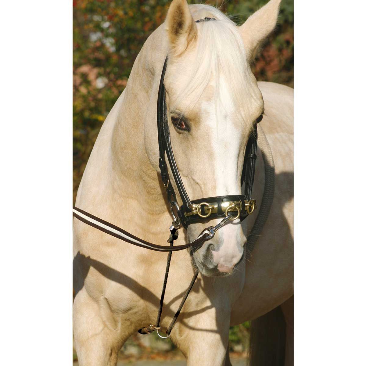 BUSSE Aide à l'abattage du coton