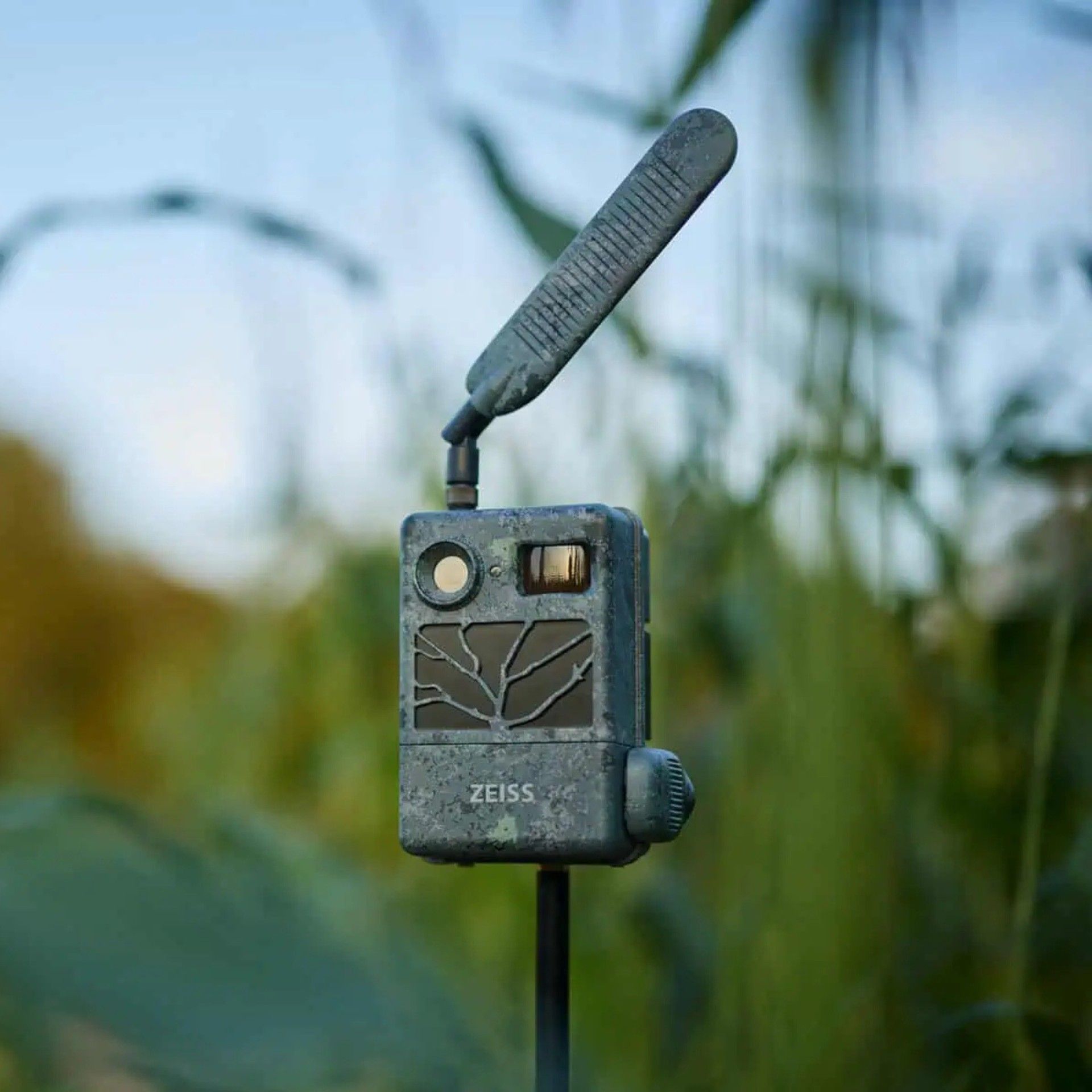 Wildkamera mit Antenne auf Metallstab im Gras, Aufschrift ZEISS