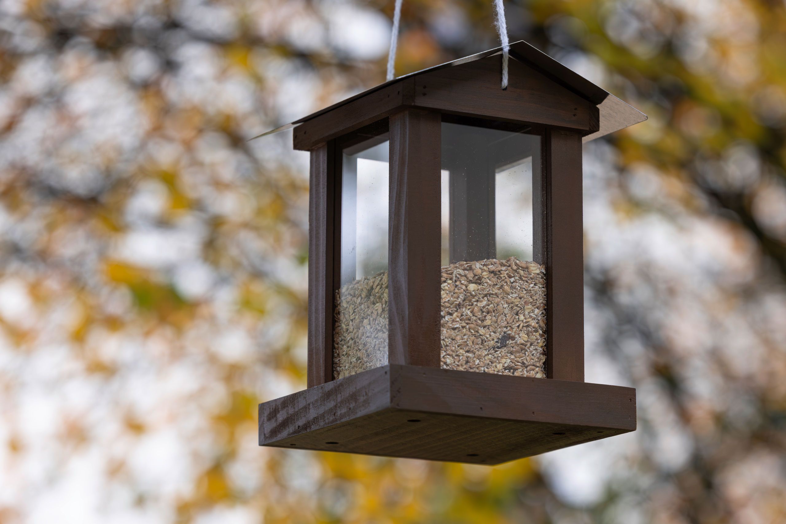 Vogelfutterspender, hängende Laterne, Holz, Glasfenster, Futterspellets