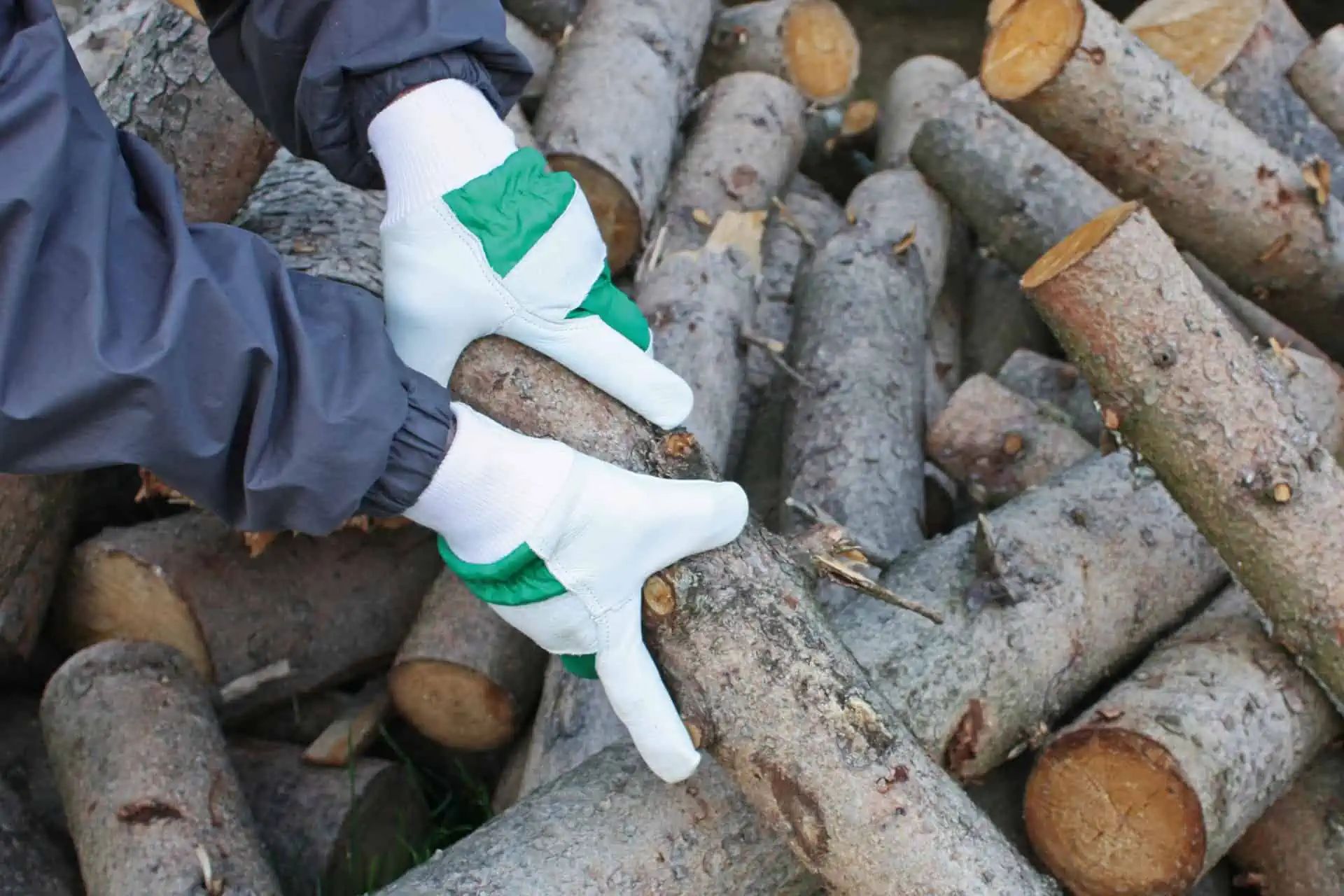 Kerbl Winter Glove Wood II Goatskin with Knit Cuff, in use, held in hand