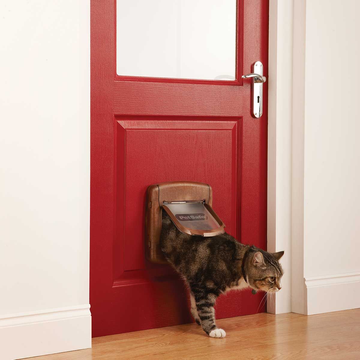 PetSafe Staywell 420 Gattaiola Magnetica Marrone, Chiusura 4 Vie, in uso