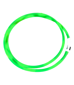 Leuchtendes grünes Leuchthalsband für Hunde in Ringform