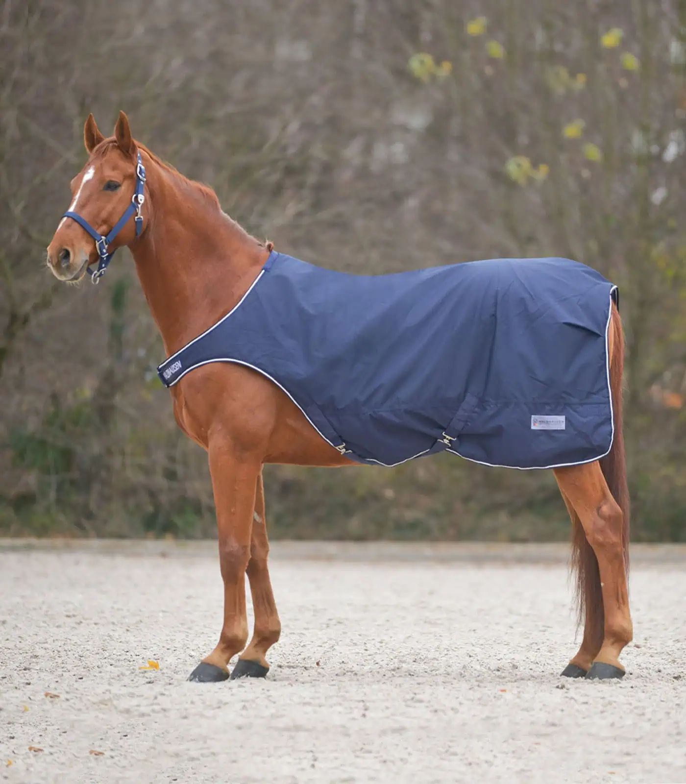 Waldhausen COMFORT Couverture de Manège, 100 g Rembourrage, Imperméable, bleu nuit, 145 cm