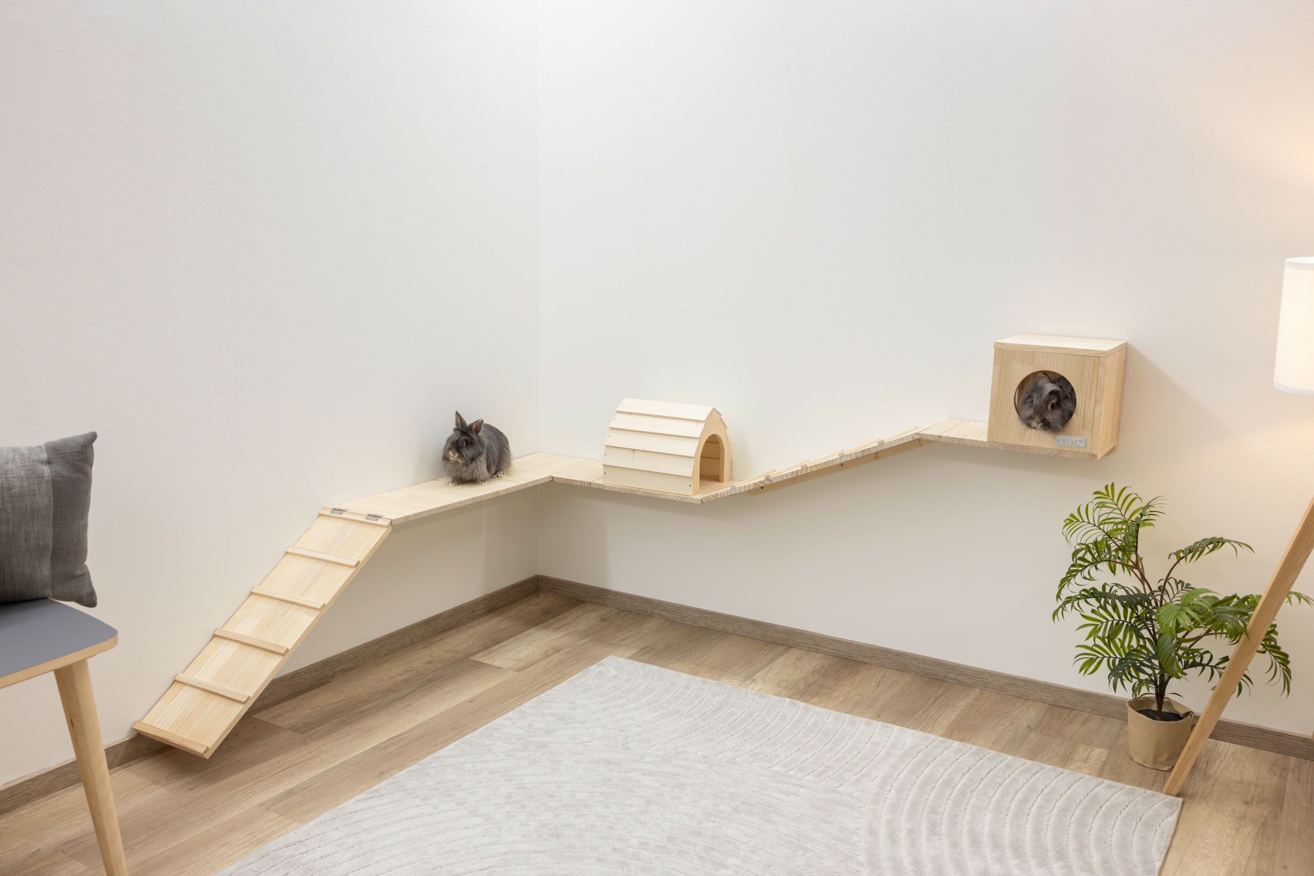 Kerbl Kleintier Wand-Parkour Skywalk 6-teilig aus Vollholz