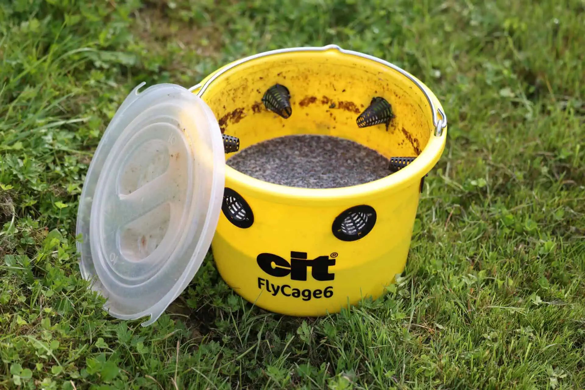 cit Fly Trap FlyCage6 for Pasture and Garden incl. Attractant, detail view
