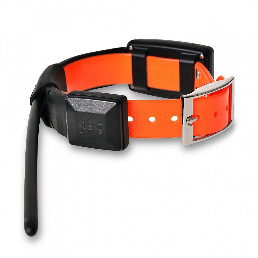 Orange hundhalsband med svart GPS-sändare och antenn